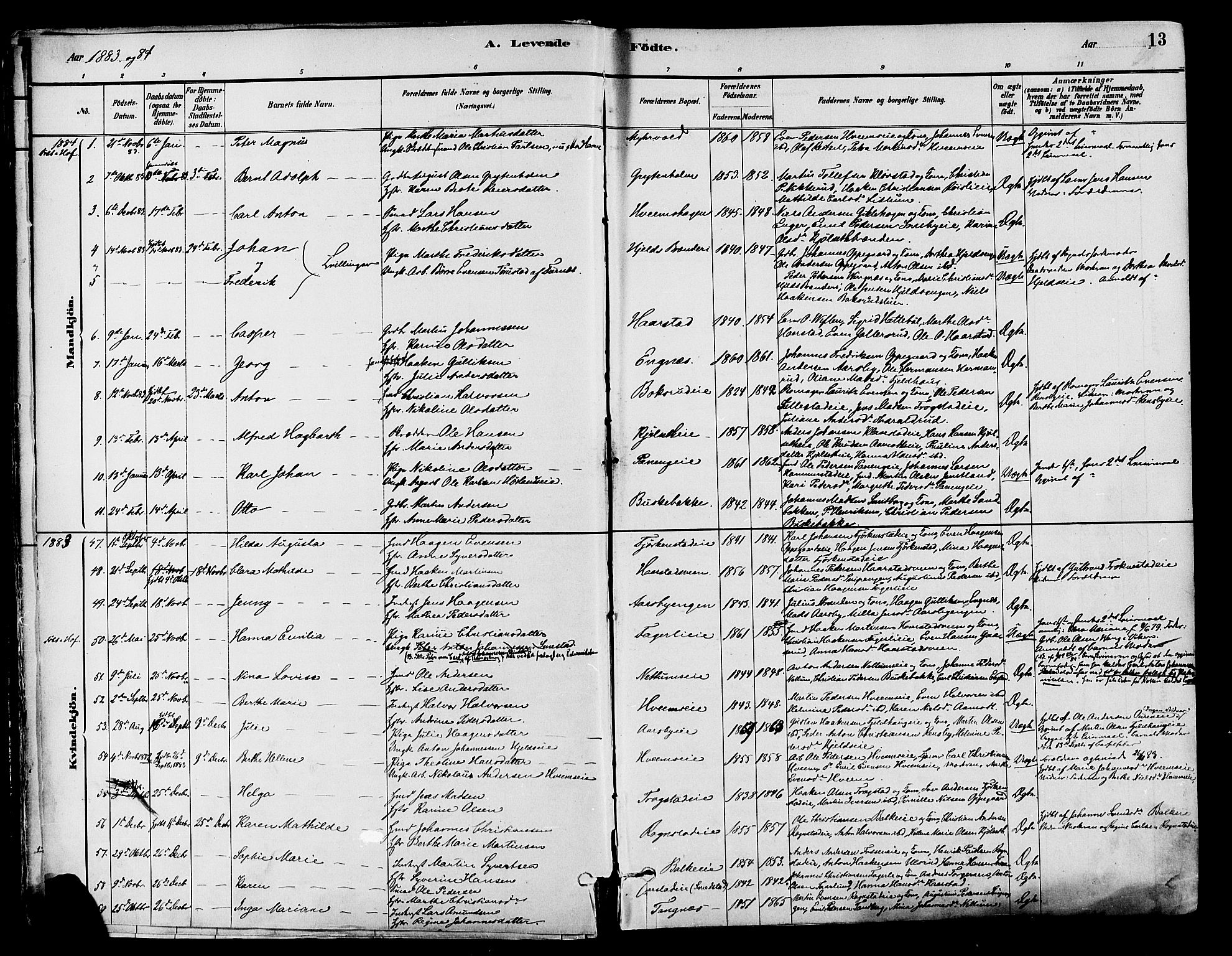 Østre Toten prestekontor, AV/SAH-PREST-104/H/Ha/Haa/L0007: Parish register (official) no. 7, 1881-1896, p. 13