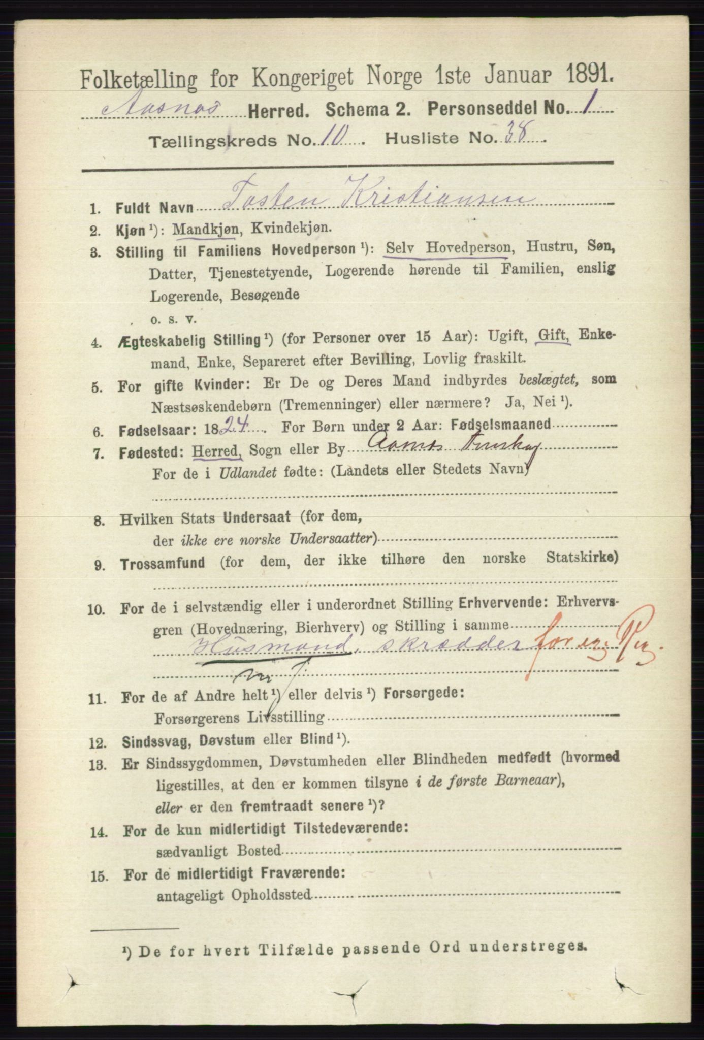 RA, 1891 census for 0425 Åsnes, 1891, p. 5263
