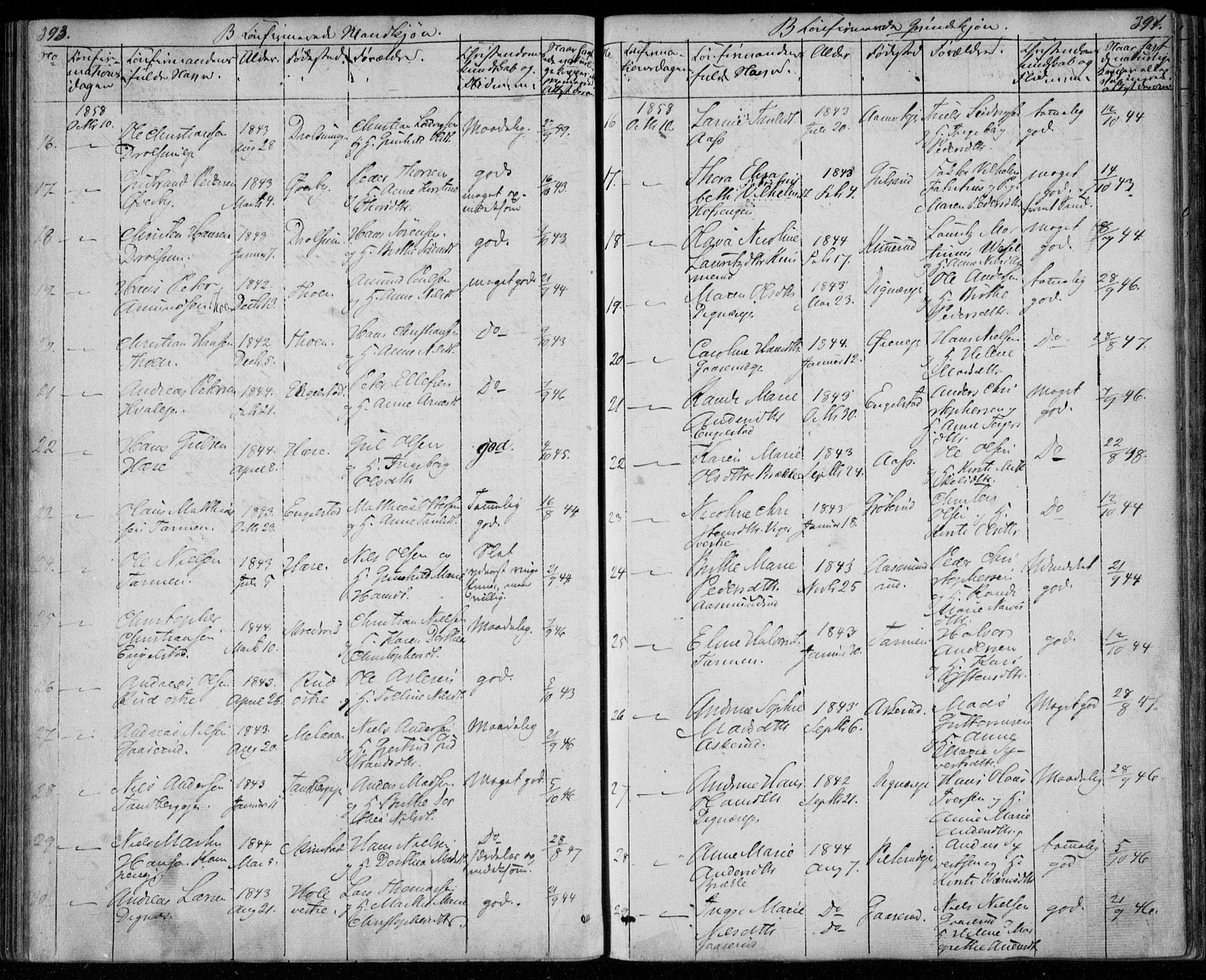 Modum kirkebøker, AV/SAKO-A-234/F/Fa/L0008: Parish register (official) no. 8, 1851-1859, p. 393-394