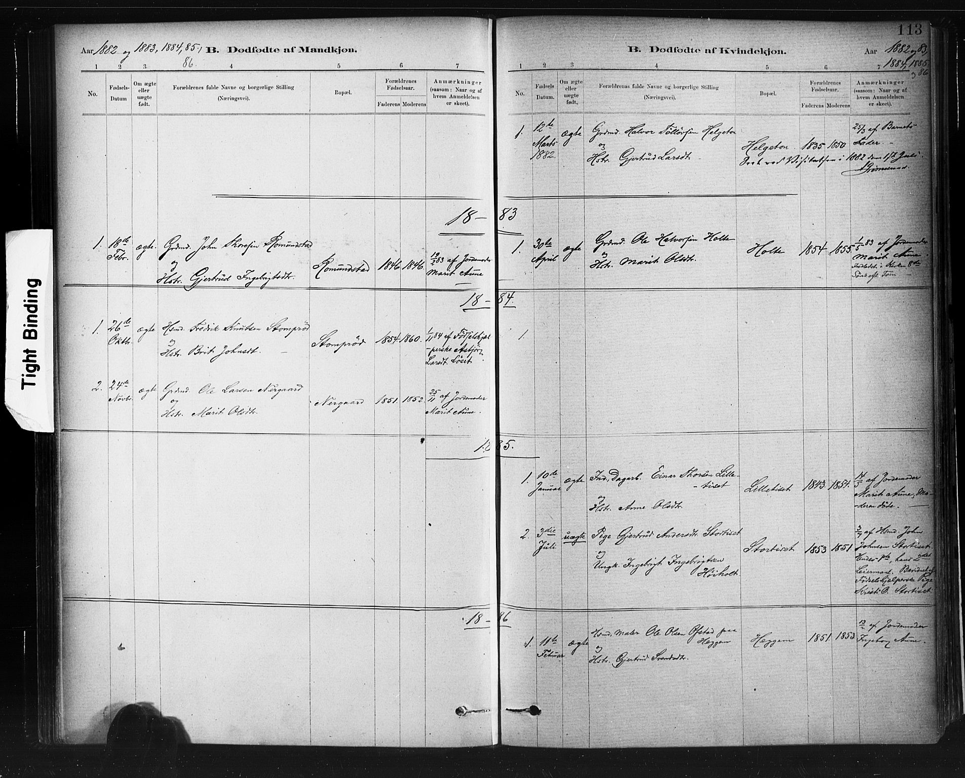 Ministerialprotokoller, klokkerbøker og fødselsregistre - Møre og Romsdal, SAT/A-1454/598/L1069: Parish register (official) no. 598A03, 1882-1895, p. 113