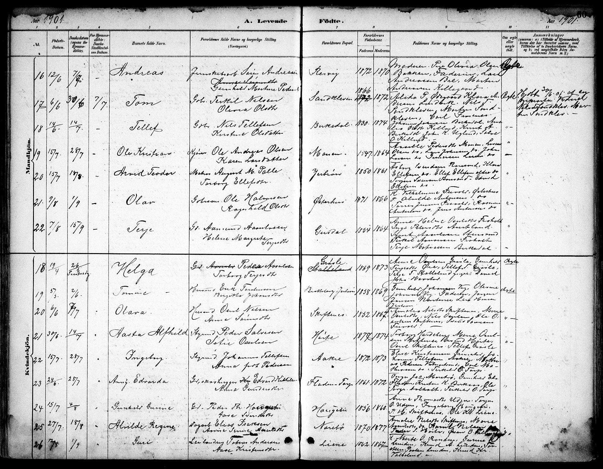 Hommedal sokneprestkontor, AV/SAK-1111-0023/F/Fb/Fbb/L0007: Parish register (copy) no. B 7, 1885-1904, p. 60