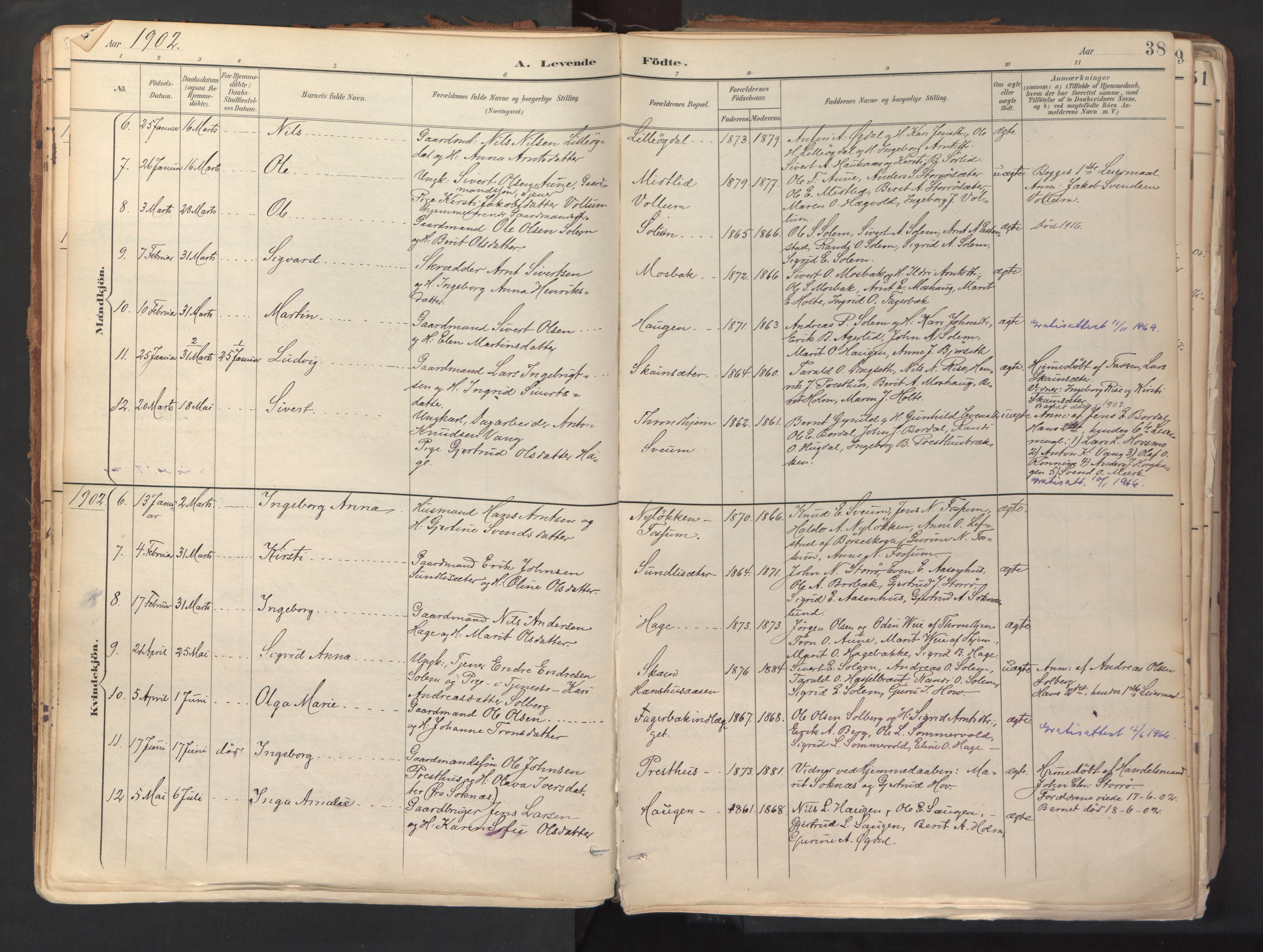 Ministerialprotokoller, klokkerbøker og fødselsregistre - Sør-Trøndelag, SAT/A-1456/689/L1041: Parish register (official) no. 689A06, 1891-1923, p. 38