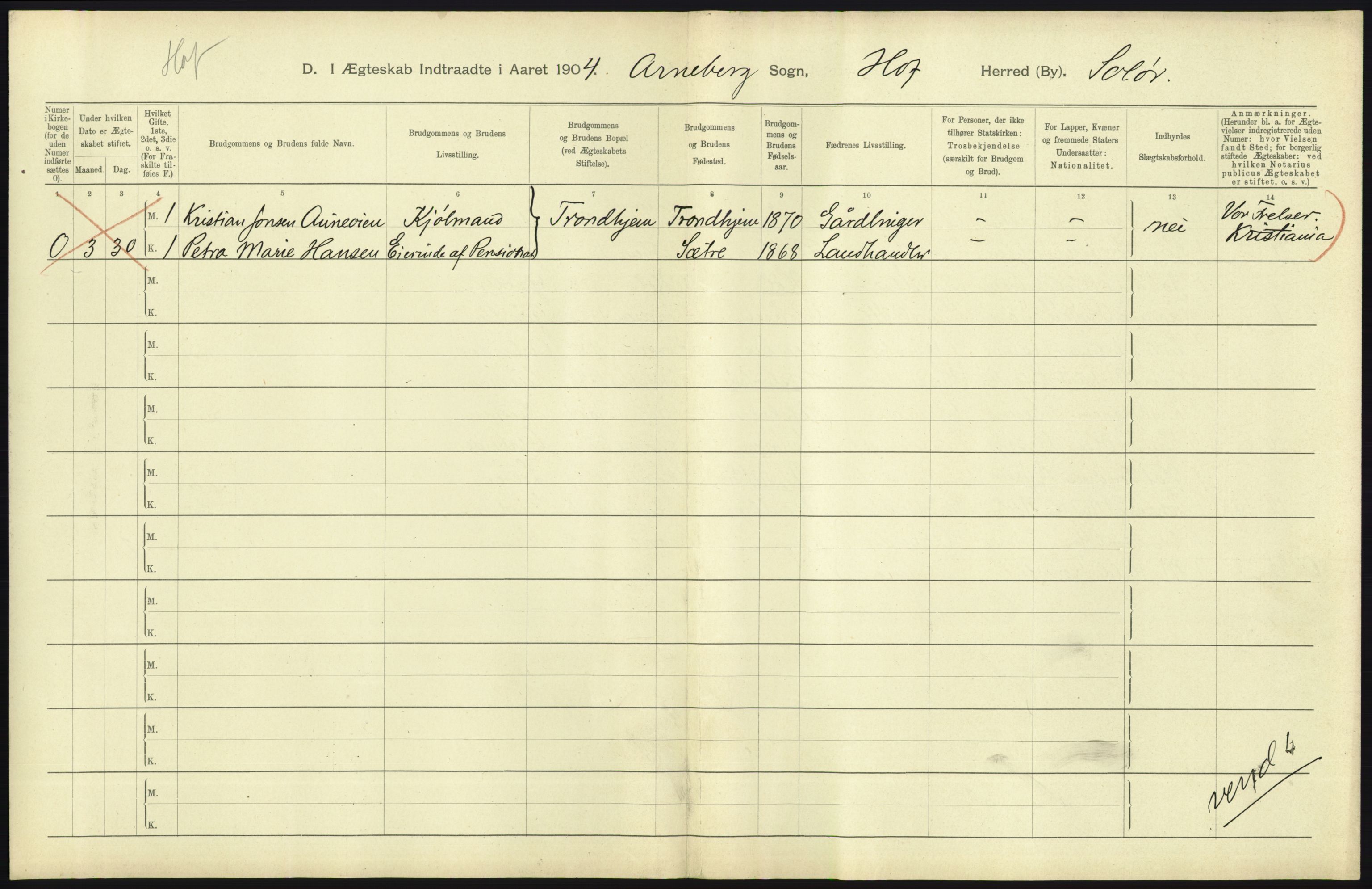 Statistisk sentralbyrå, Sosiodemografiske emner, Befolkning, AV/RA-S-2228/D/Df/Dfa/Dfab/L0005: Hedemarkens amt: Fødte, gifte, døde, 1904, p. 571