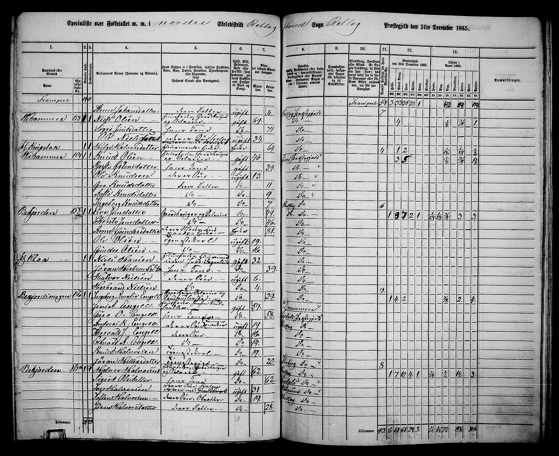RA, 1865 census for Rollag, 1865, p. 42