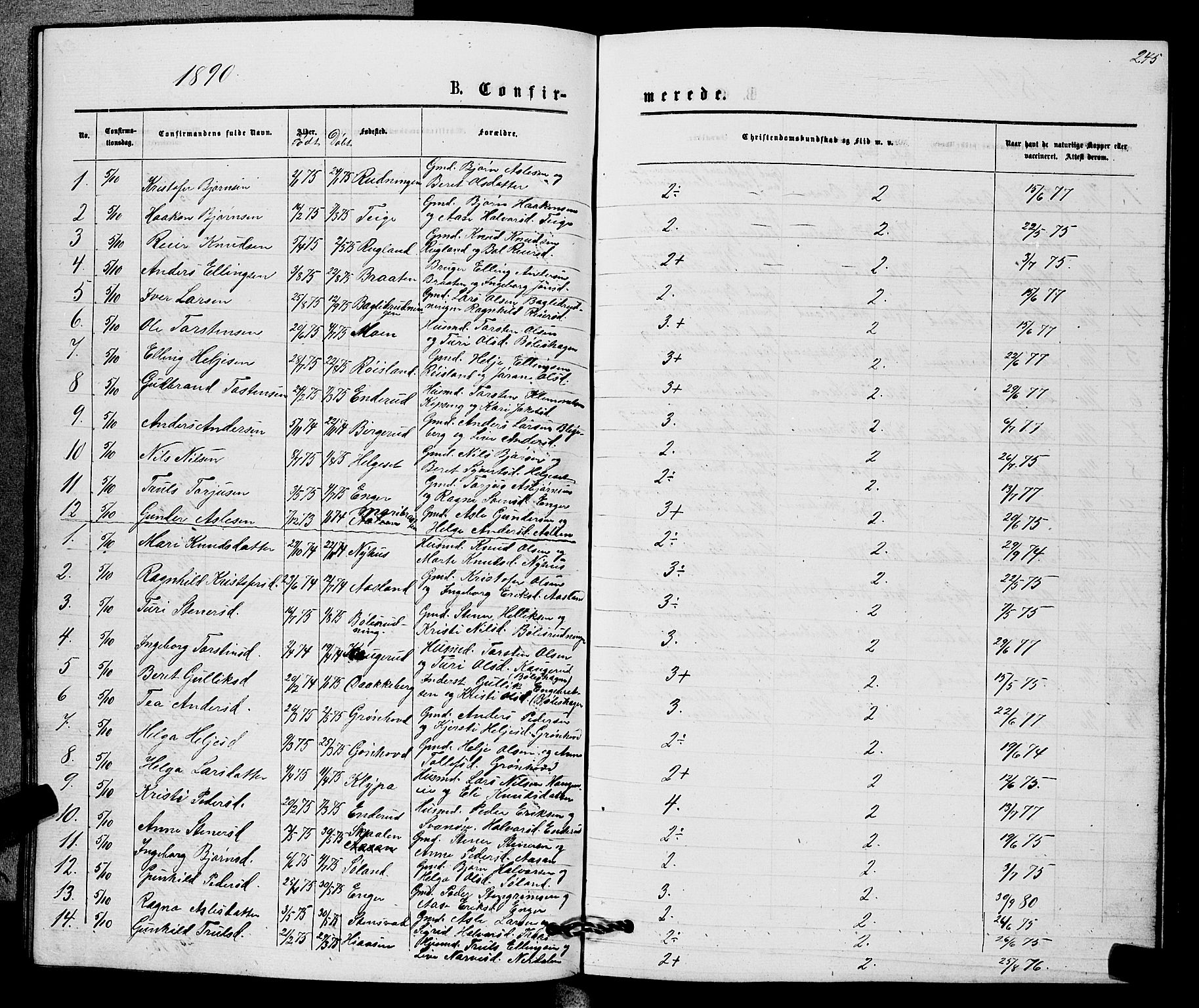 Sigdal kirkebøker, SAKO/A-245/G/Gb/L0002: Parish register (copy) no. II 2, 1875-1900, p. 245