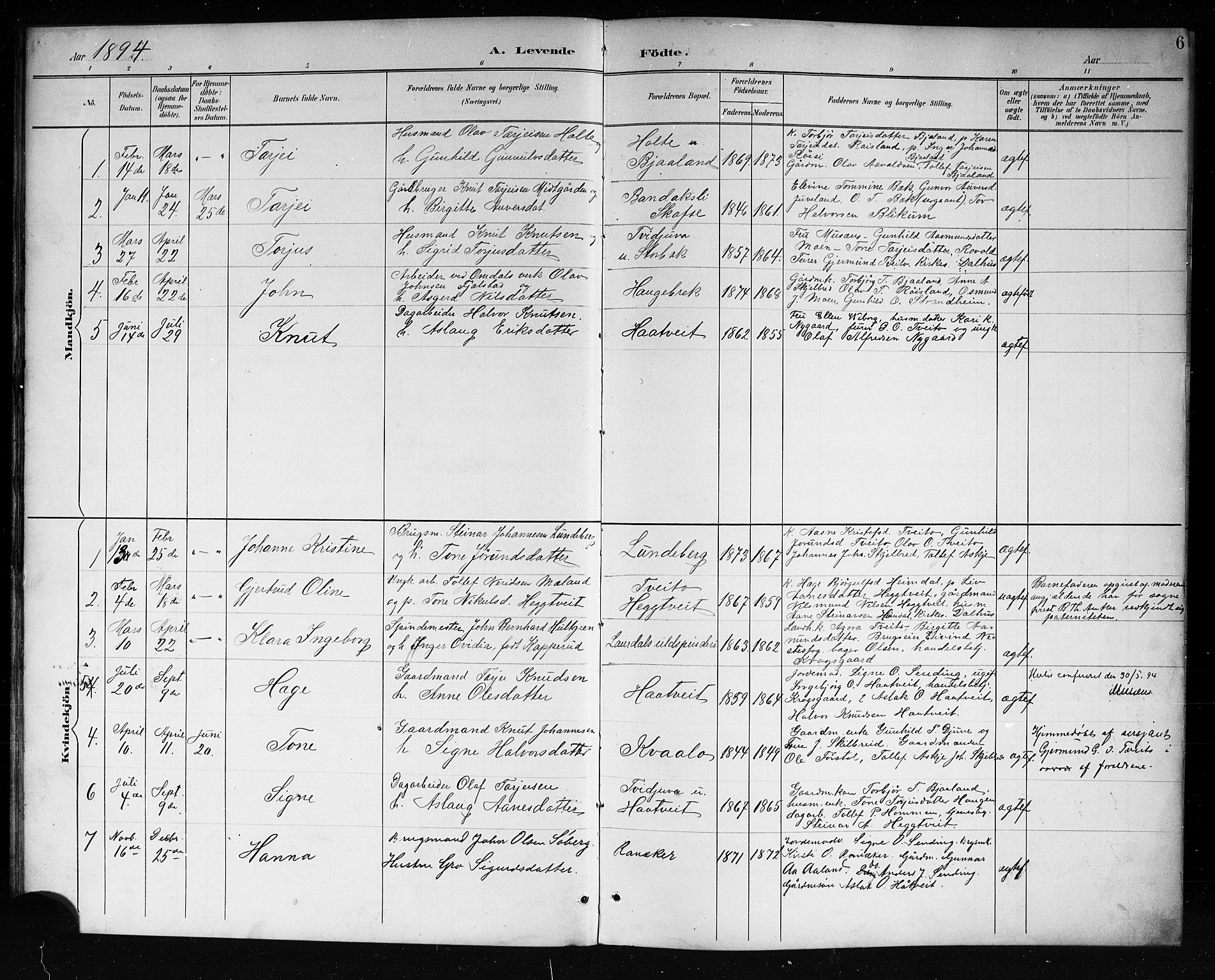 Lårdal kirkebøker, SAKO/A-284/G/Ga/L0003: Parish register (copy) no. I 3, 1891-1918, p. 6