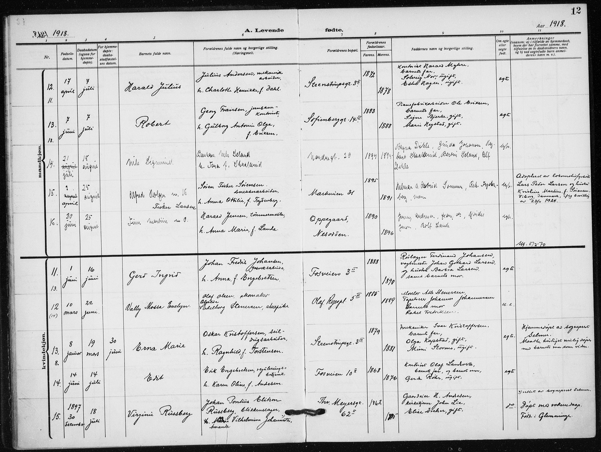 Hauge prestekontor Kirkebøker, AV/SAO-A-10849/F/Fa/L0001: Parish register (official) no. 1, 1917-1938, p. 12