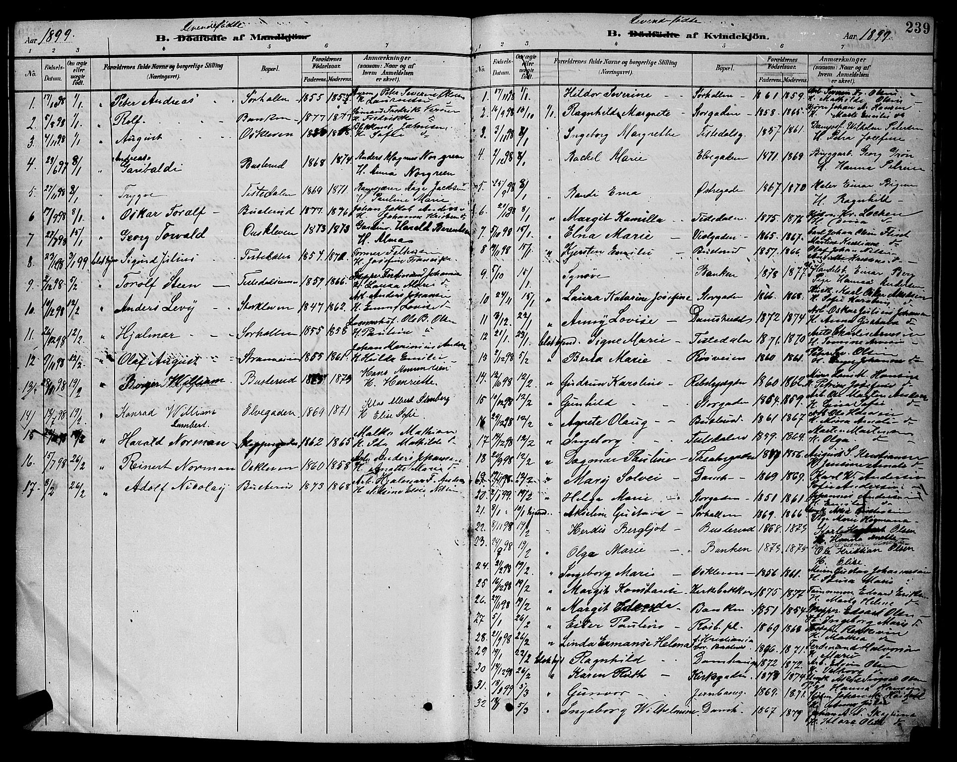 Halden prestekontor Kirkebøker, SAO/A-10909/G/Ga/L0008: Parish register (copy) no. 8, 1885-1899, p. 239