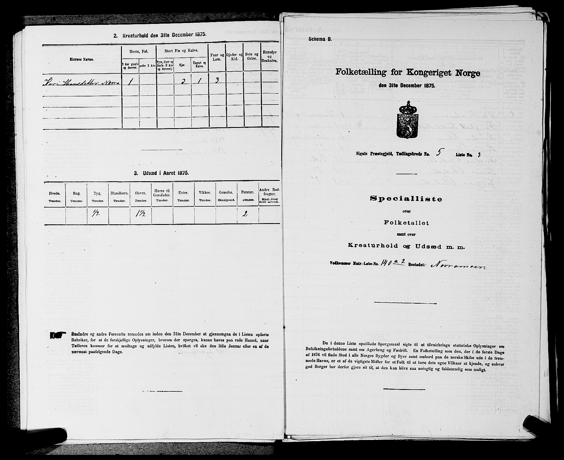 SAKO, 1875 census for 0621P Sigdal, 1875, p. 717