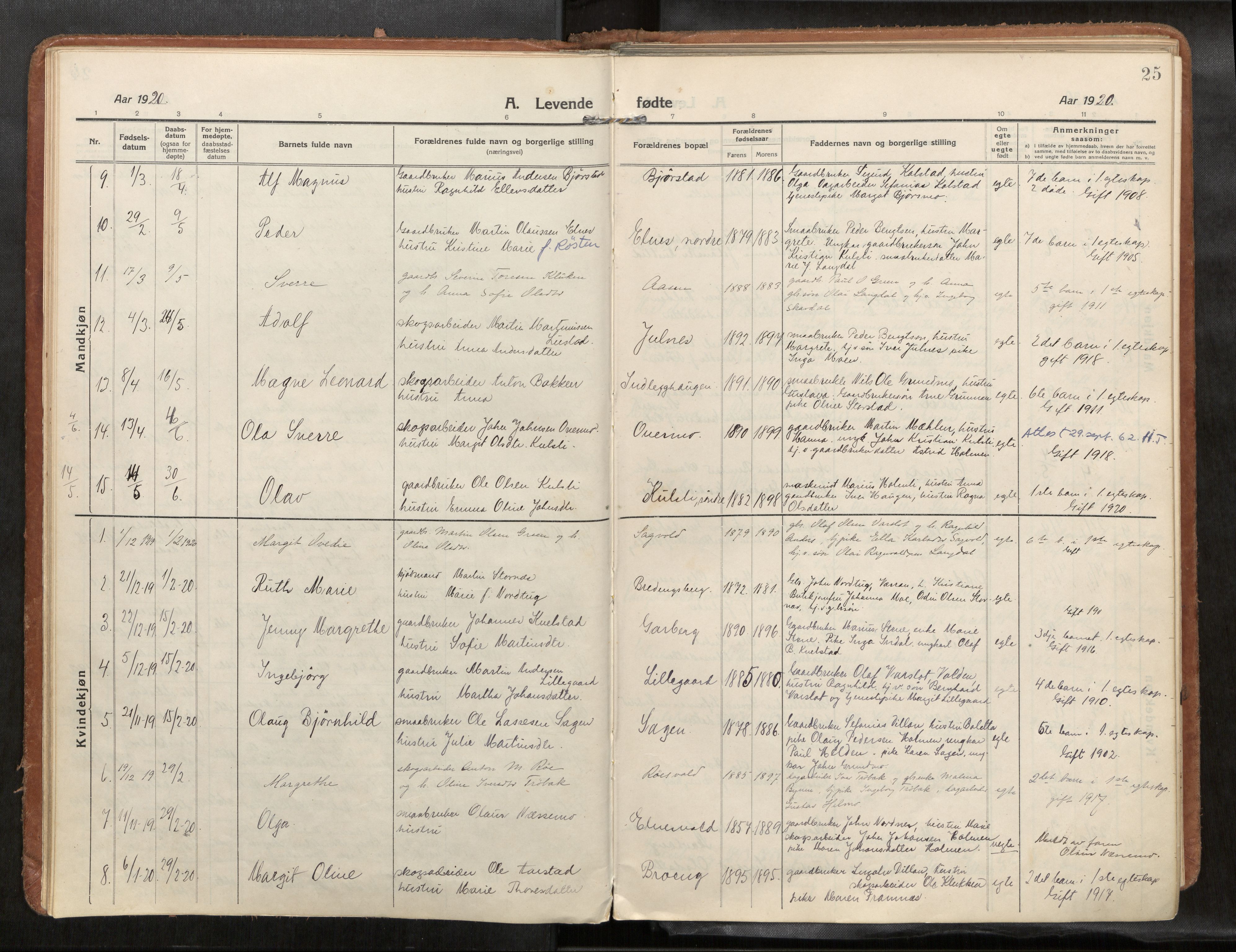 Verdal sokneprestkontor, SAT/A-1156/2/H/Haa/L0004: Parish register (official) no. 4, 1916-1928, p. 25