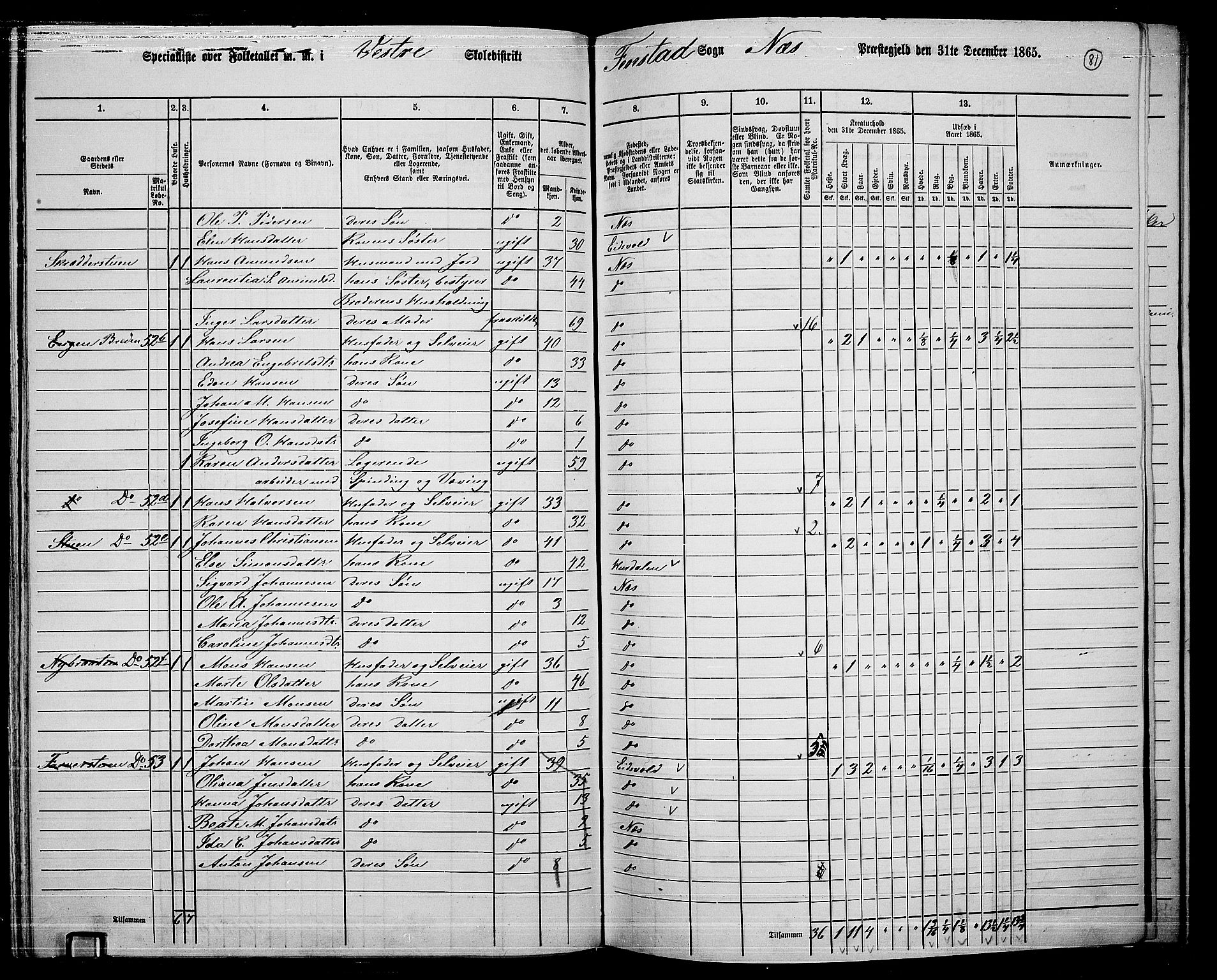 RA, 1865 census for Nes, 1865, p. 74