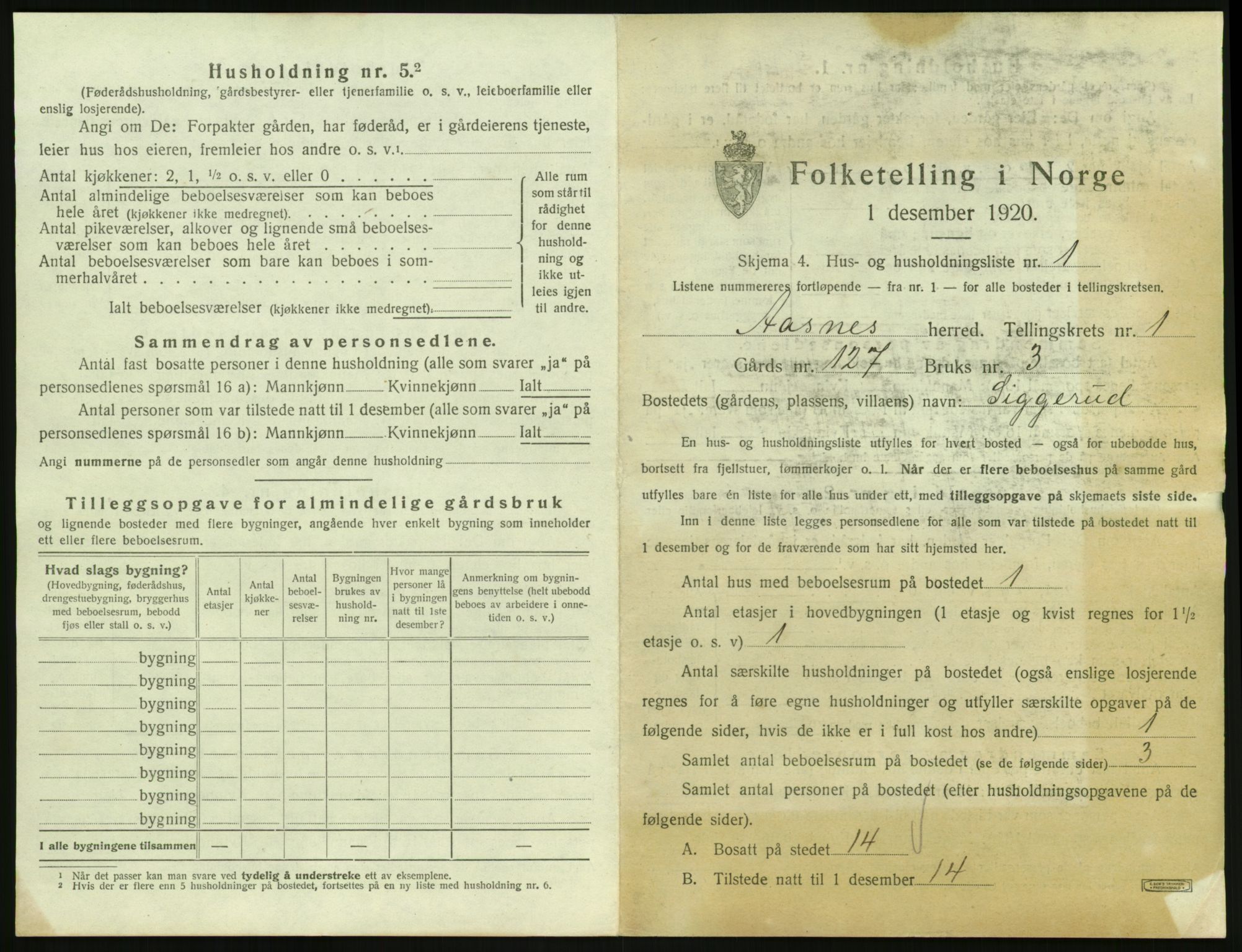 SAH, 1920 census for Åsnes, 1920, p. 58