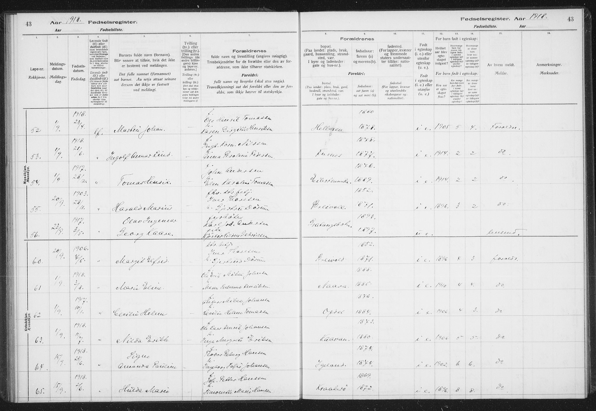 Ibestad sokneprestembete, SATØ/S-0077/I/Ic/L0061: Birth register no. 61, 1917-1929, p. 43