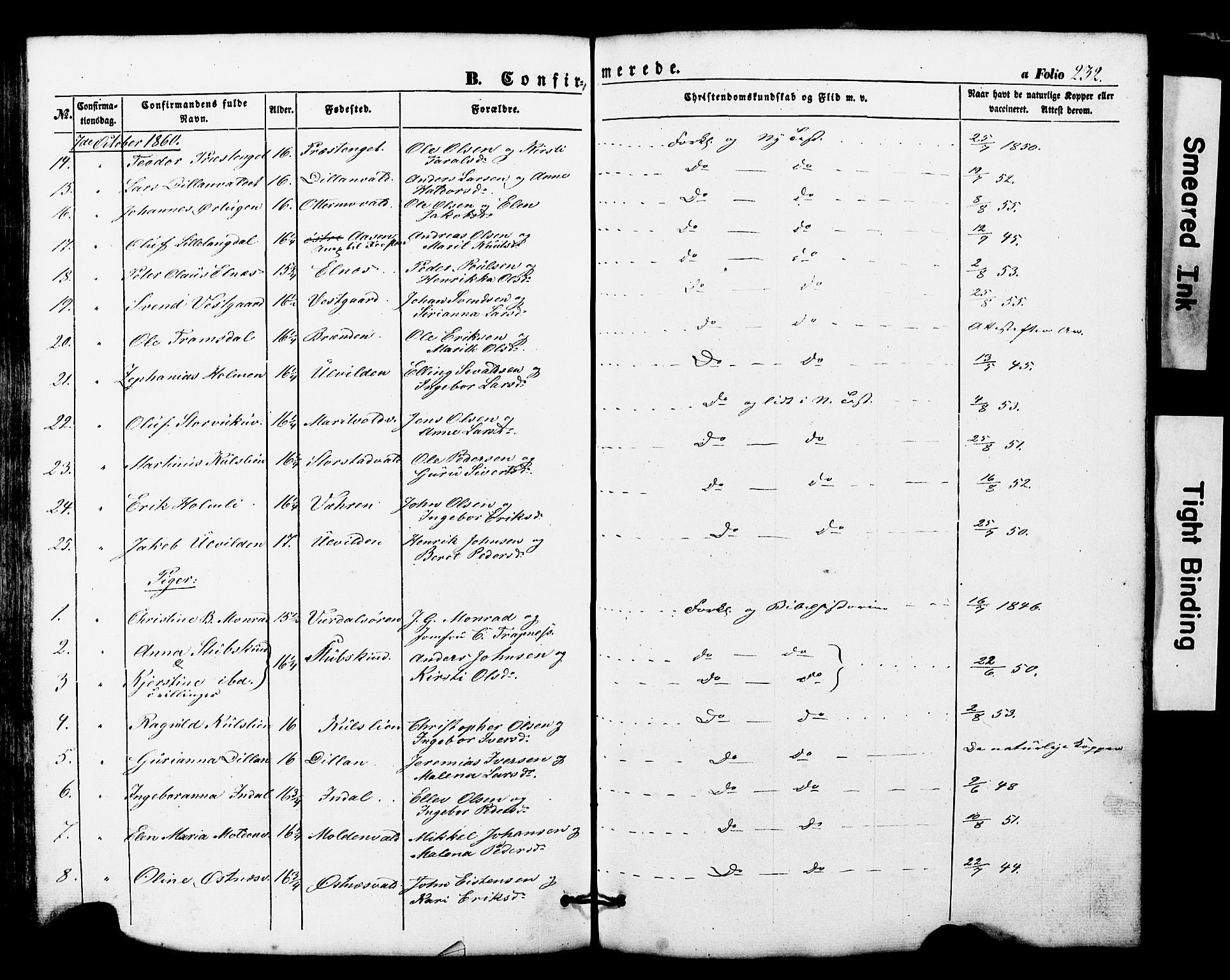 Ministerialprotokoller, klokkerbøker og fødselsregistre - Nord-Trøndelag, SAT/A-1458/724/L0268: Parish register (copy) no. 724C04, 1846-1878, p. 232