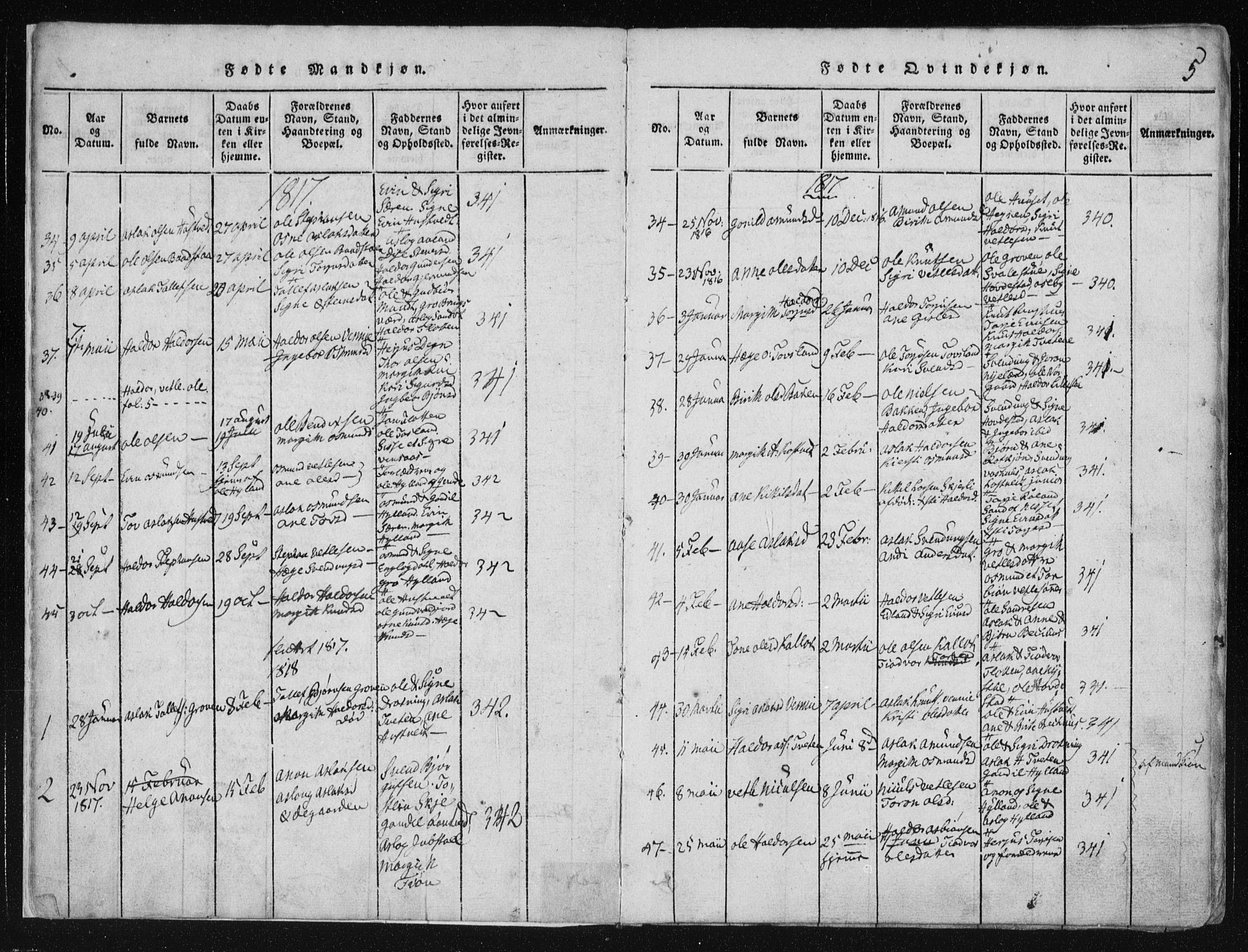 Vinje kirkebøker, AV/SAKO-A-312/F/Fa/L0003: Parish register (official) no. I 3, 1814-1843, p. 5