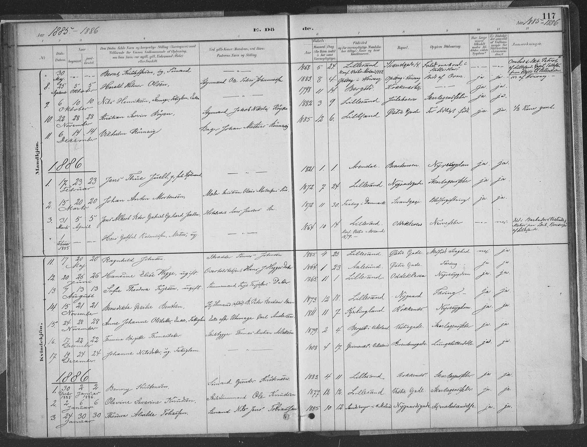 Vestre Moland sokneprestkontor, SAK/1111-0046/F/Fa/Faa/L0001: Parish register (official) no. A 1, 1884-1899, p. 117