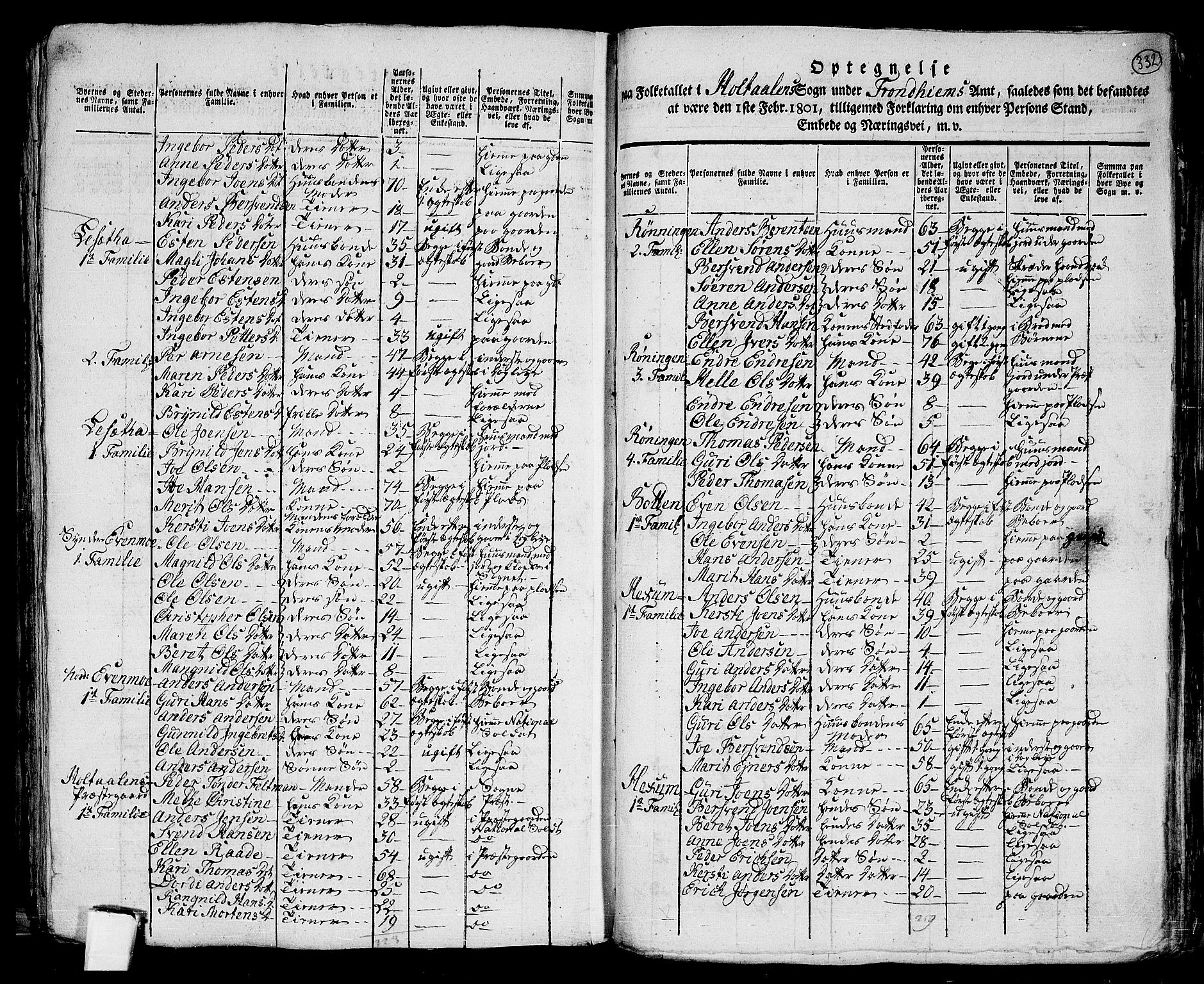 RA, 1801 census for 1645P Haltdalen, 1801, p. 331b-332a