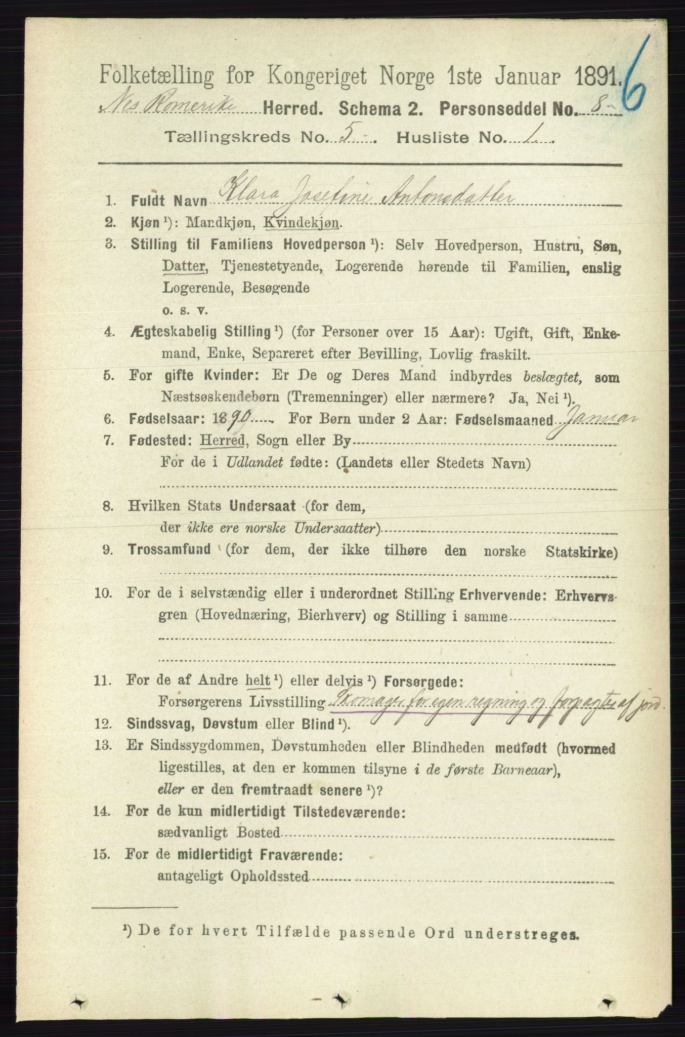 RA, 1891 census for 0236 Nes, 1891, p. 2798