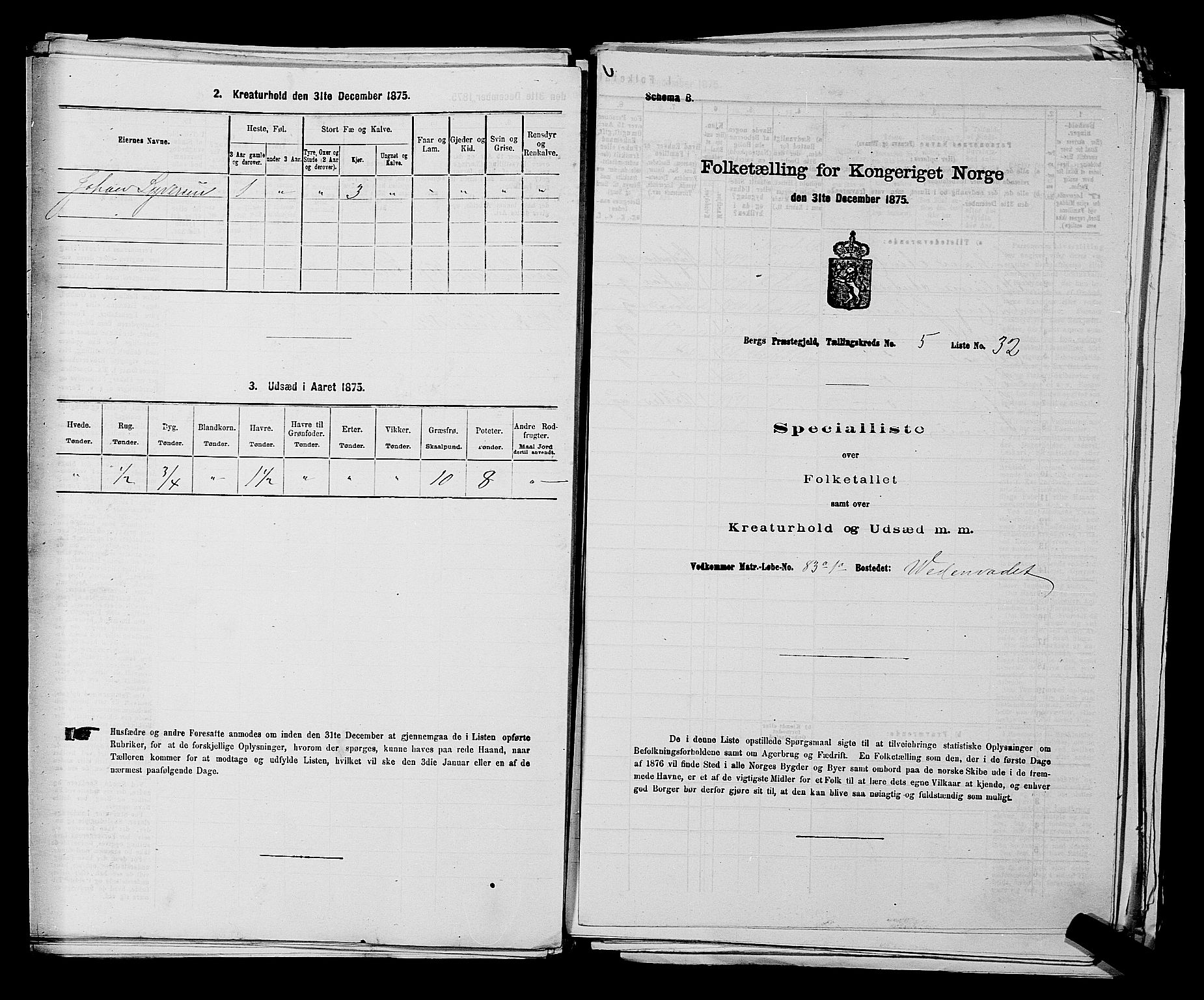 RA, 1875 census for 0116P Berg, 1875, p. 741