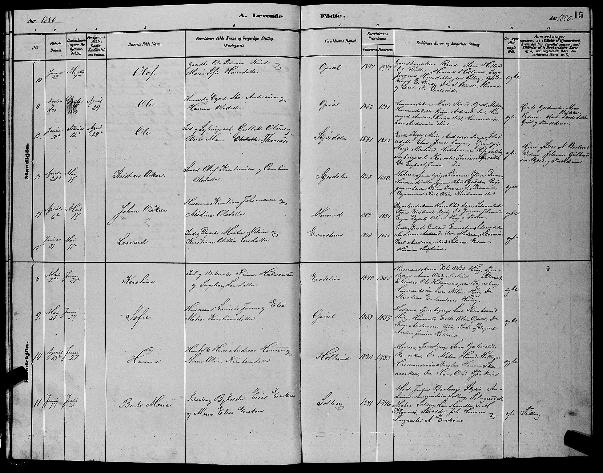 Hole kirkebøker, AV/SAKO-A-228/G/Gb/L0002: Parish register (copy) no. II 2, 1878-1889, p. 15