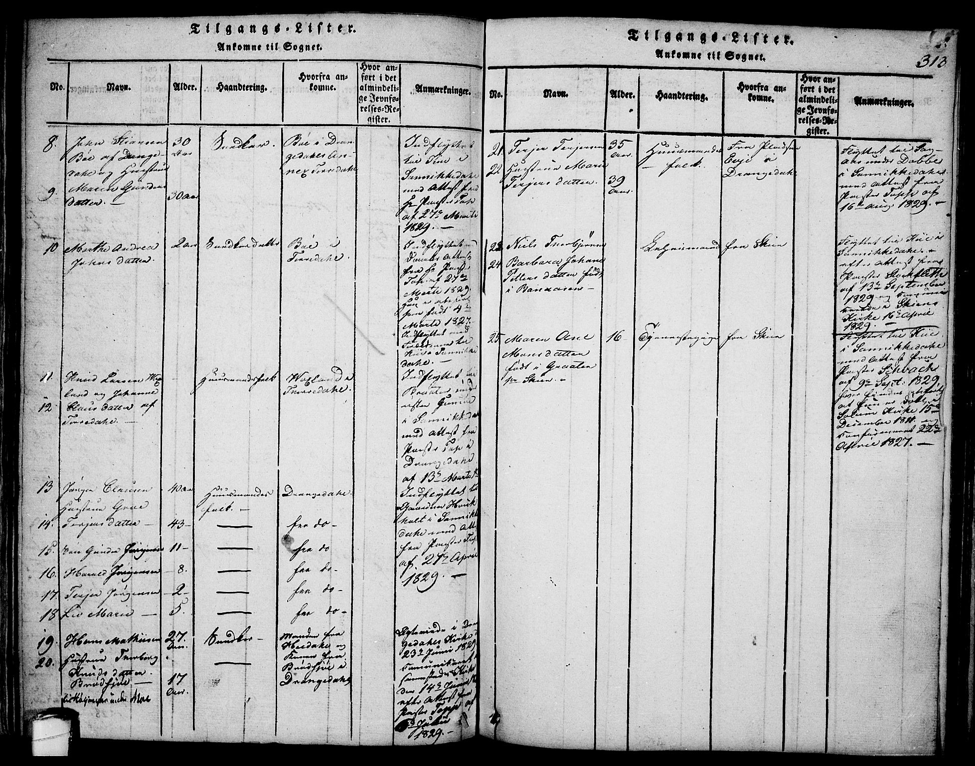 Sannidal kirkebøker, SAKO/A-296/F/Fa/L0004: Parish register (official) no. 4, 1814-1829, p. 313