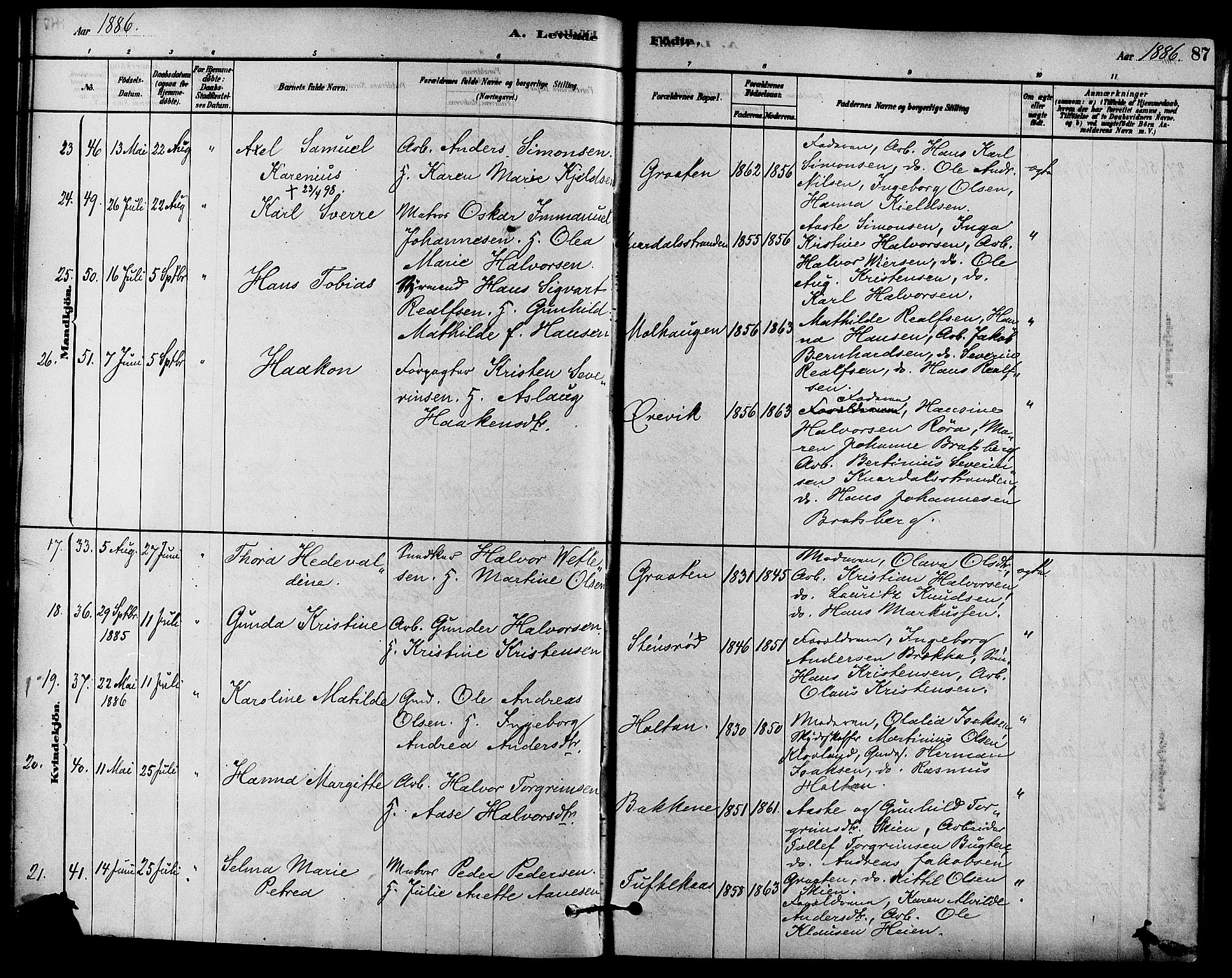 Solum kirkebøker, AV/SAKO-A-306/F/Fa/L0009: Parish register (official) no. I 9, 1877-1887, p. 87