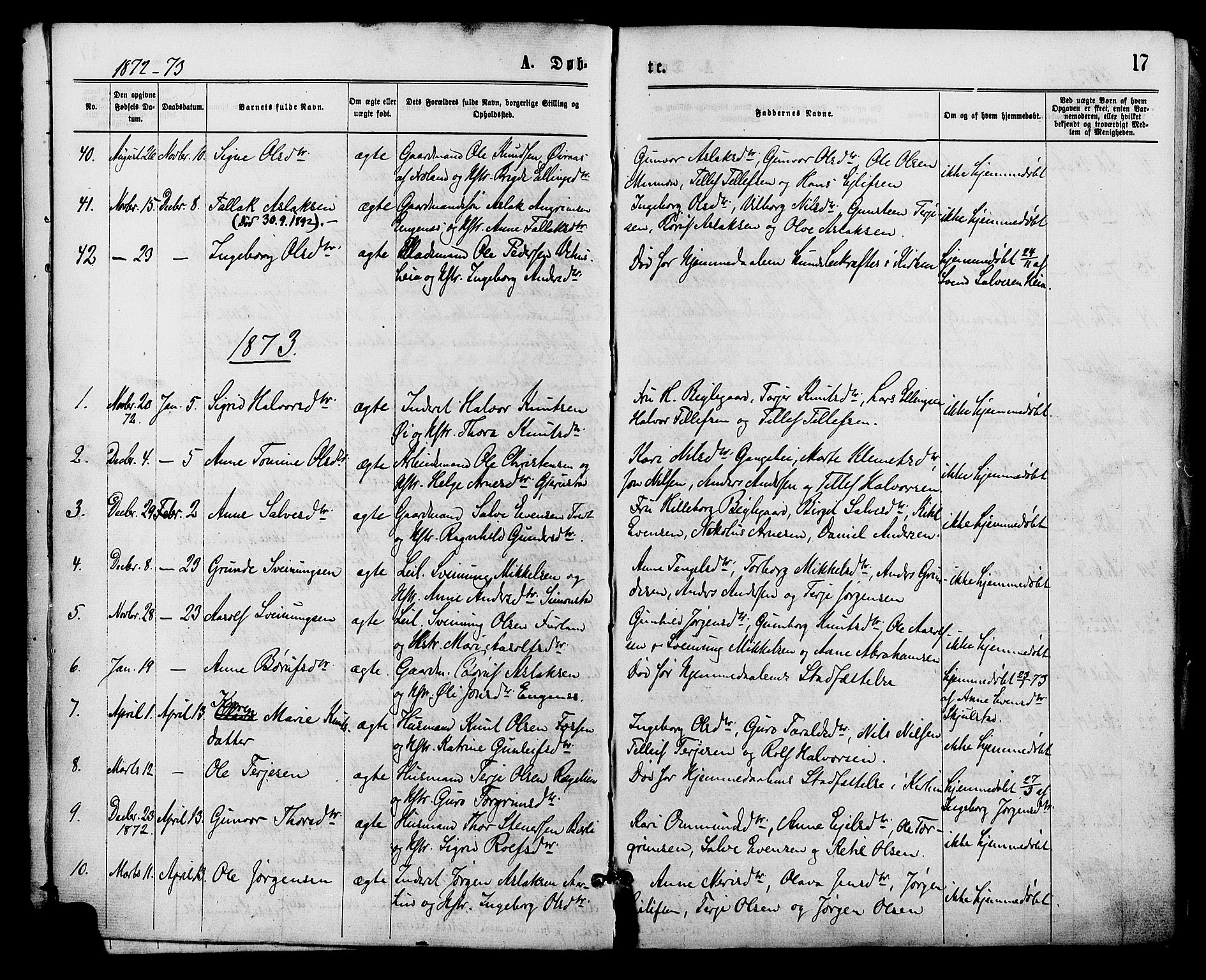 Åmli sokneprestkontor, SAK/1111-0050/F/Fa/Fac/L0009: Parish register (official) no. A 9 /1, 1869-1884, p. 17