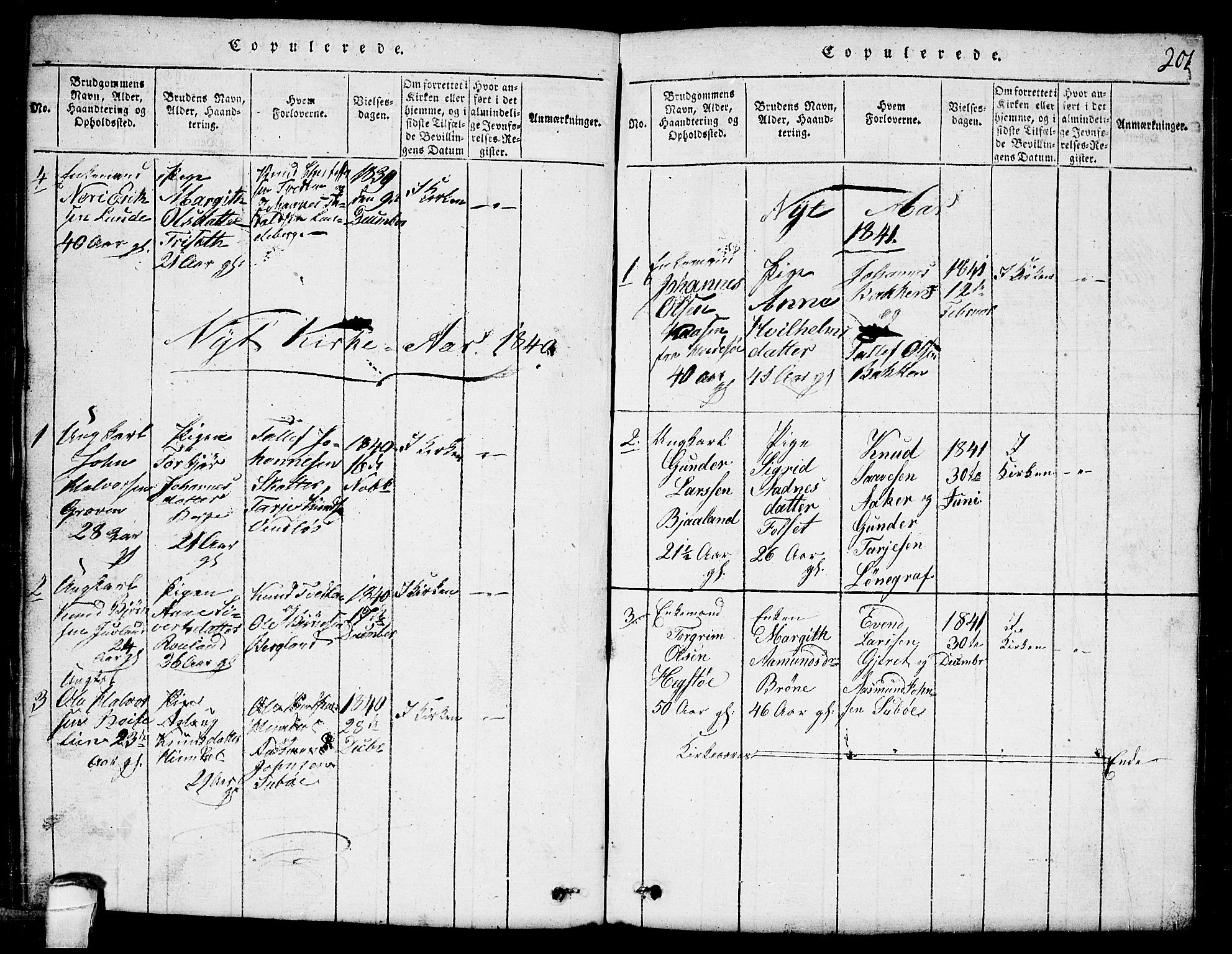 Lårdal kirkebøker, SAKO/A-284/G/Ga/L0001: Parish register (copy) no. I 1, 1815-1861, p. 201