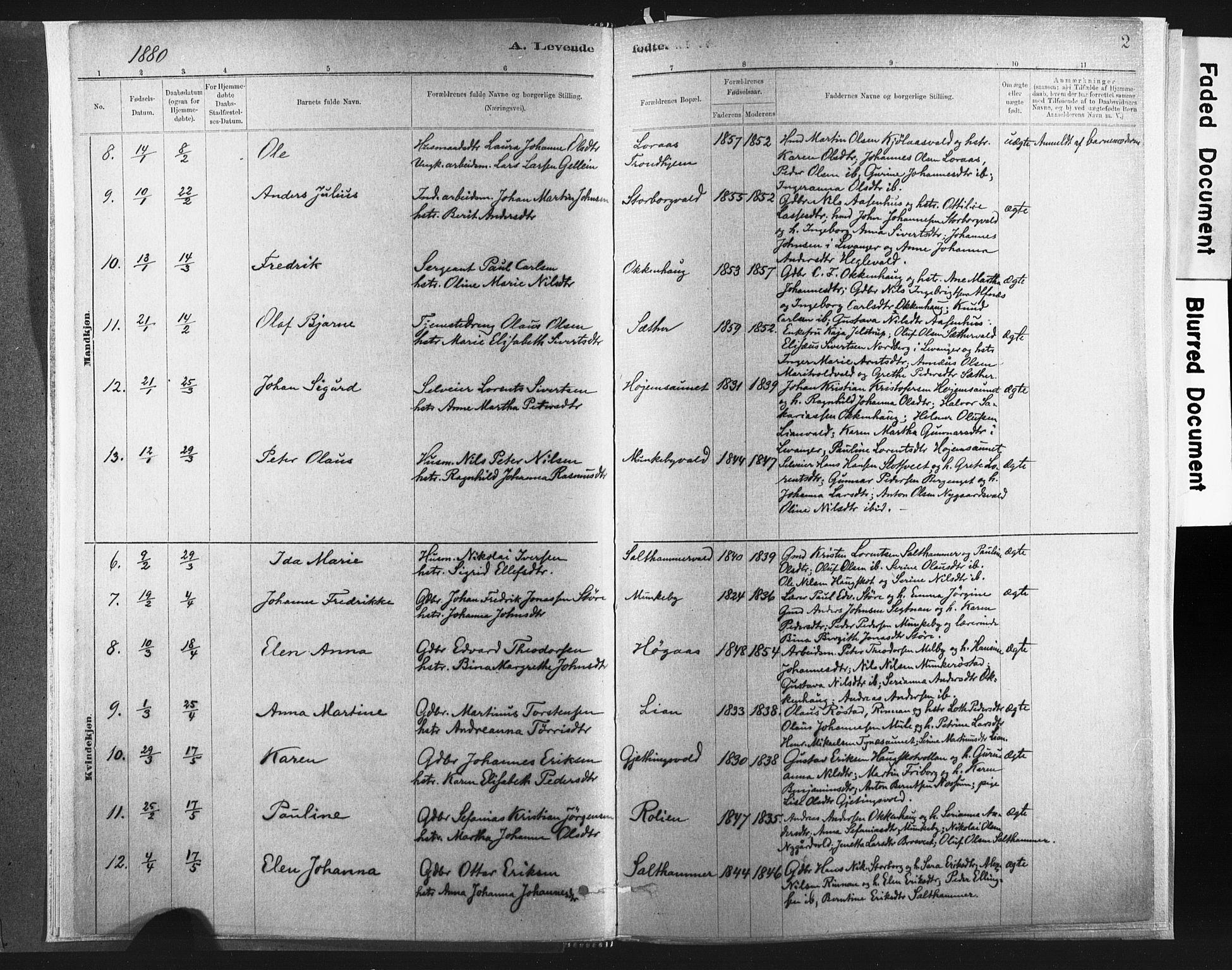 Ministerialprotokoller, klokkerbøker og fødselsregistre - Nord-Trøndelag, SAT/A-1458/721/L0207: Parish register (official) no. 721A02, 1880-1911, p. 2