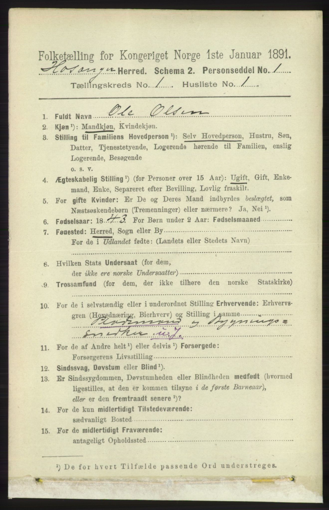 RA, 1891 census for 1253 Hosanger, 1891, p. 95