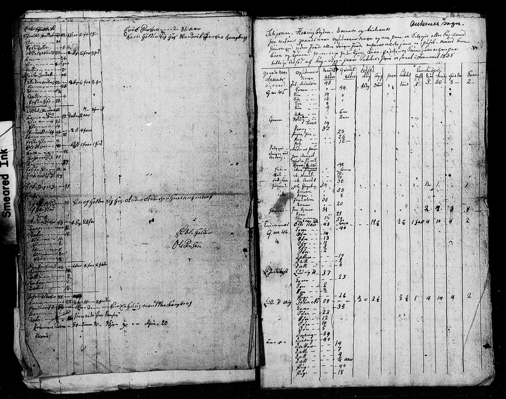 , Census 1835 for Ofoten, 1835, p. 25