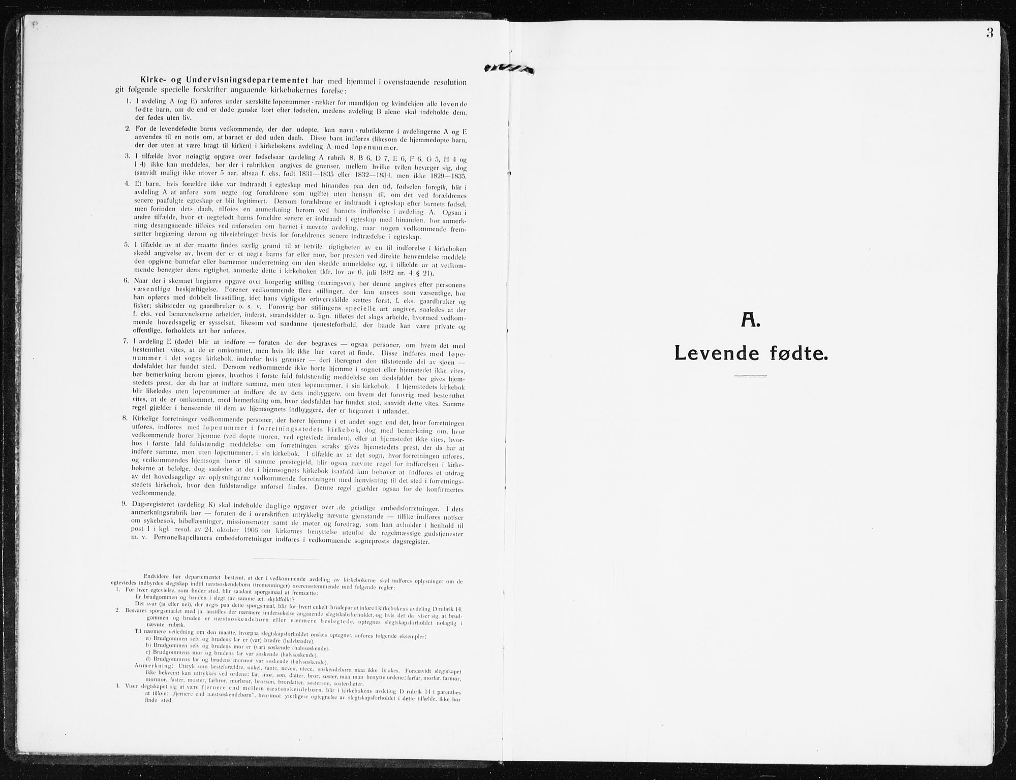 Evje sokneprestkontor, SAK/1111-0008/F/Fb/Fbb/L0003: Parish register (copy) no. B 3, 1910-1933, p. 3