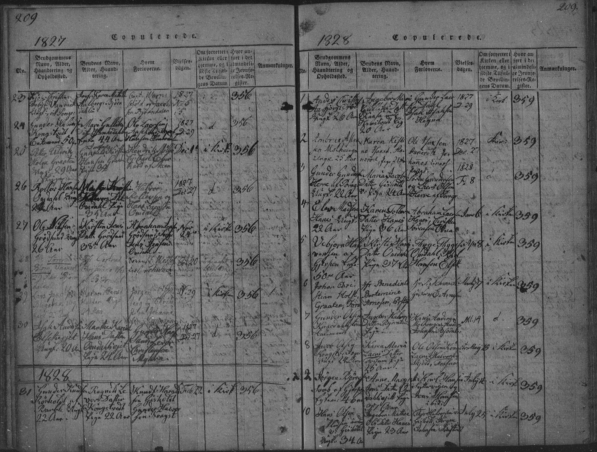 Solum kirkebøker, SAKO/A-306/F/Fa/L0004: Parish register (official) no. I 4, 1814-1833, p. 209