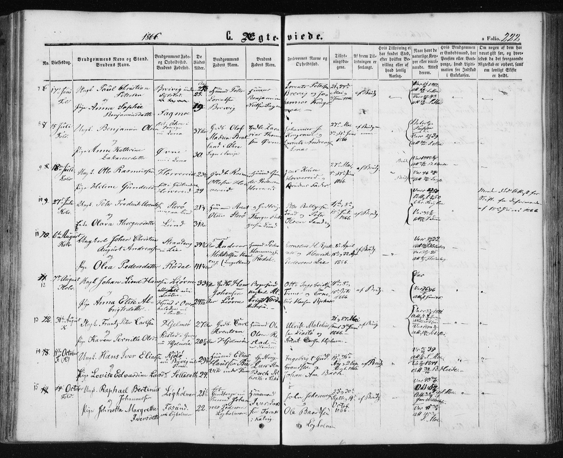 Ministerialprotokoller, klokkerbøker og fødselsregistre - Nord-Trøndelag, AV/SAT-A-1458/780/L0641: Parish register (official) no. 780A06, 1857-1874, p. 222