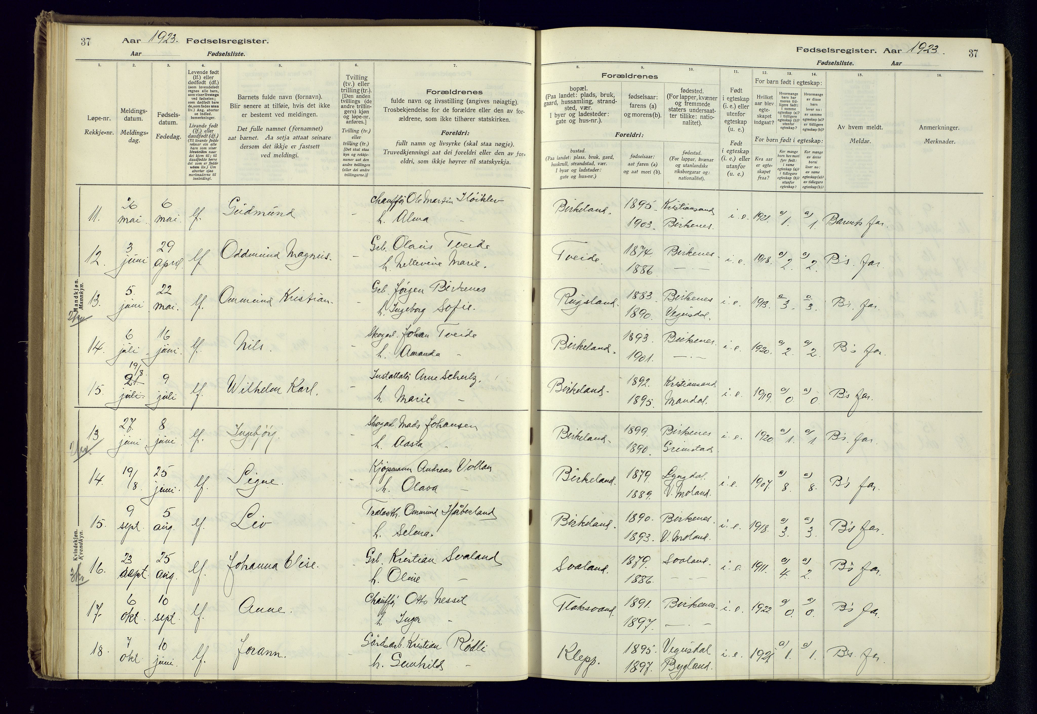 Birkenes sokneprestkontor, AV/SAK-1111-0004/J/Ja/L0001: Birth register no. II.6.4, 1916-1962, p. 37