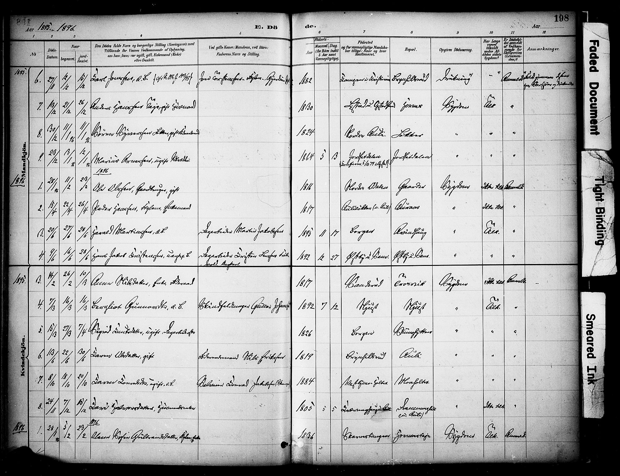 Sør-Odal prestekontor, SAH/PREST-030/H/Ha/Haa/L0009: Parish register (official) no. 9, 1886-1926, p. 198