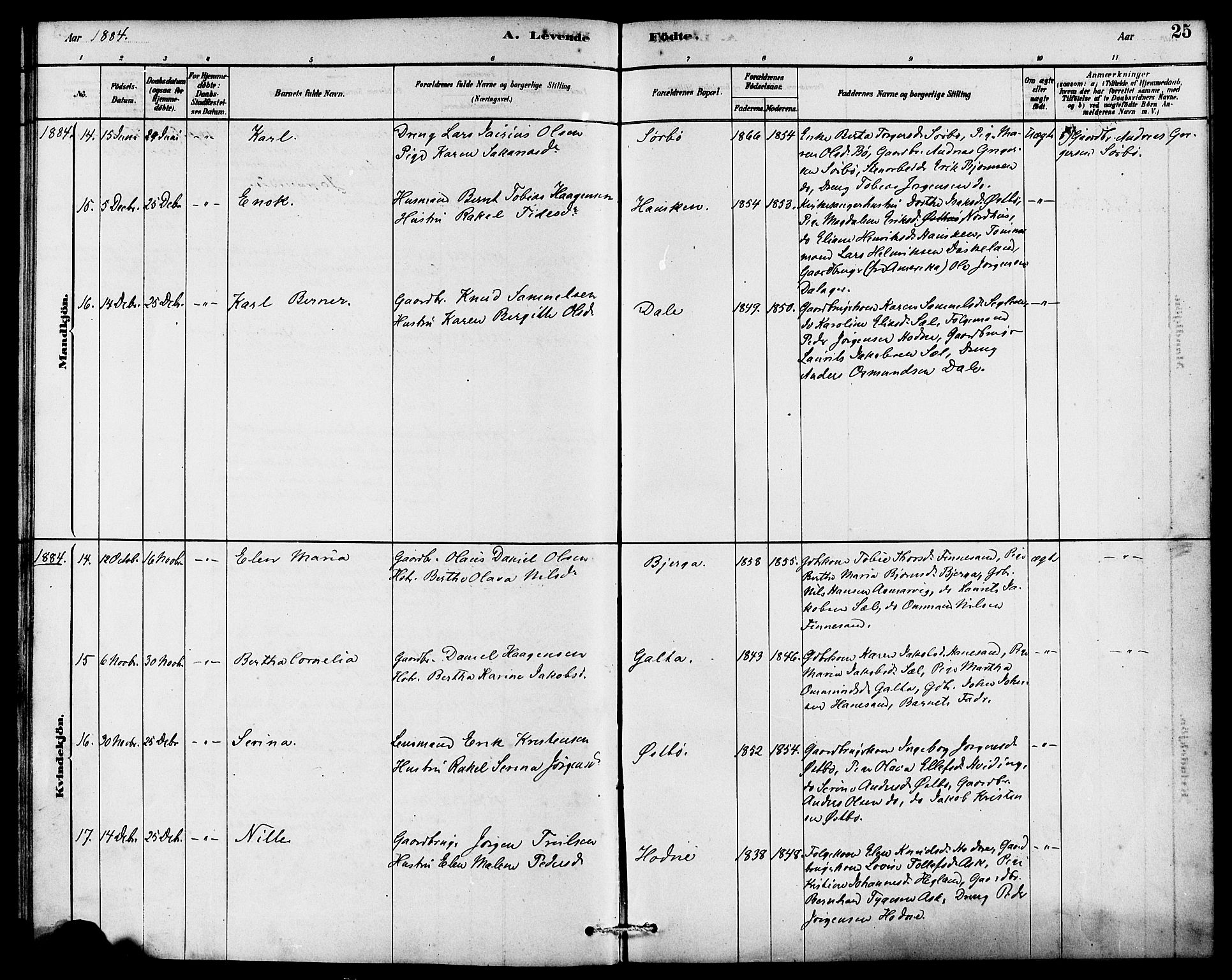 Rennesøy sokneprestkontor, AV/SAST-A -101827/H/Ha/Haa/L0007: Parish register (official) no. A 7, 1878-1884, p. 25