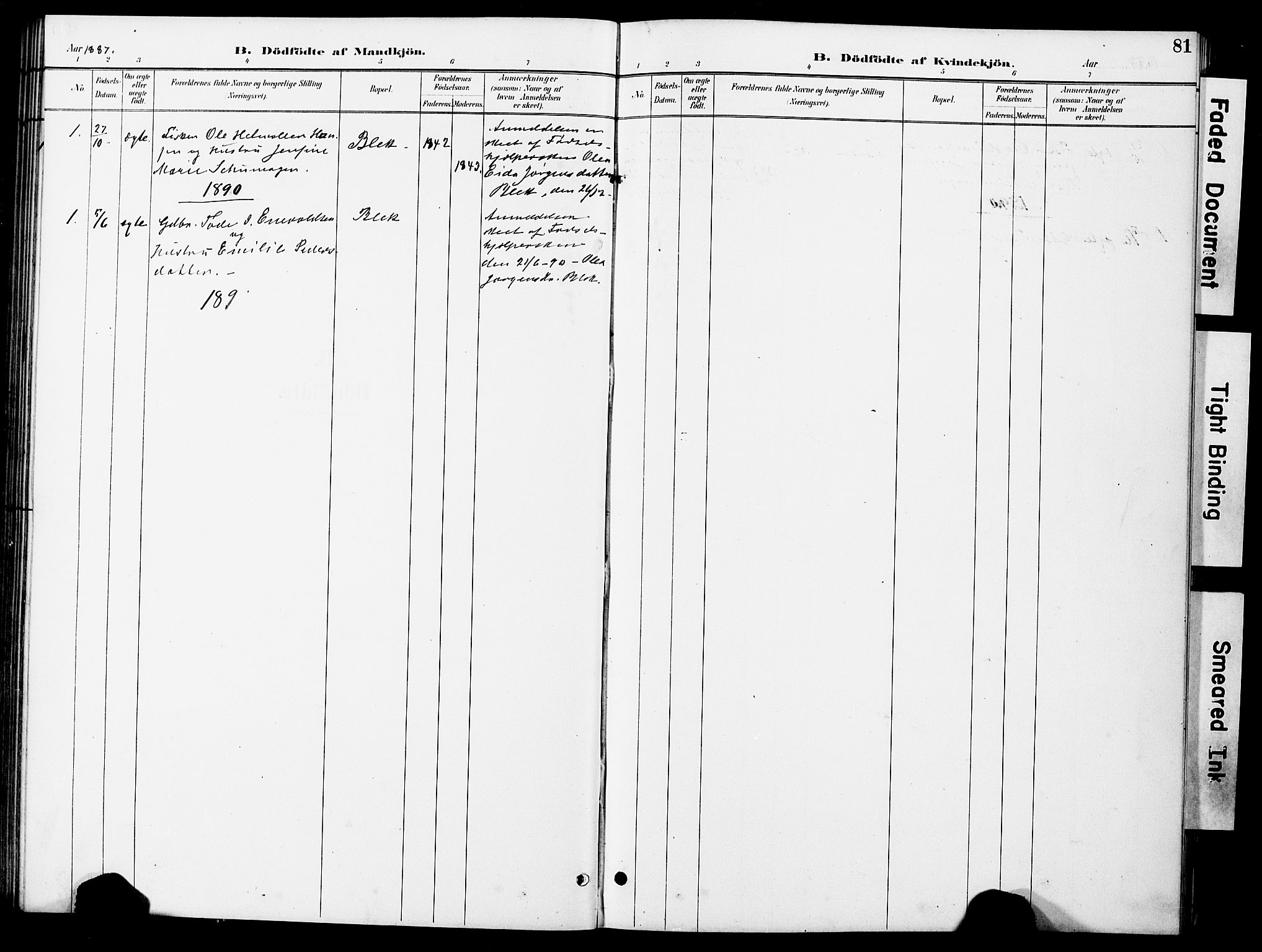 Ministerialprotokoller, klokkerbøker og fødselsregistre - Nordland, AV/SAT-A-1459/899/L1448: Parish register (copy) no. 899C03, 1887-1902, p. 81