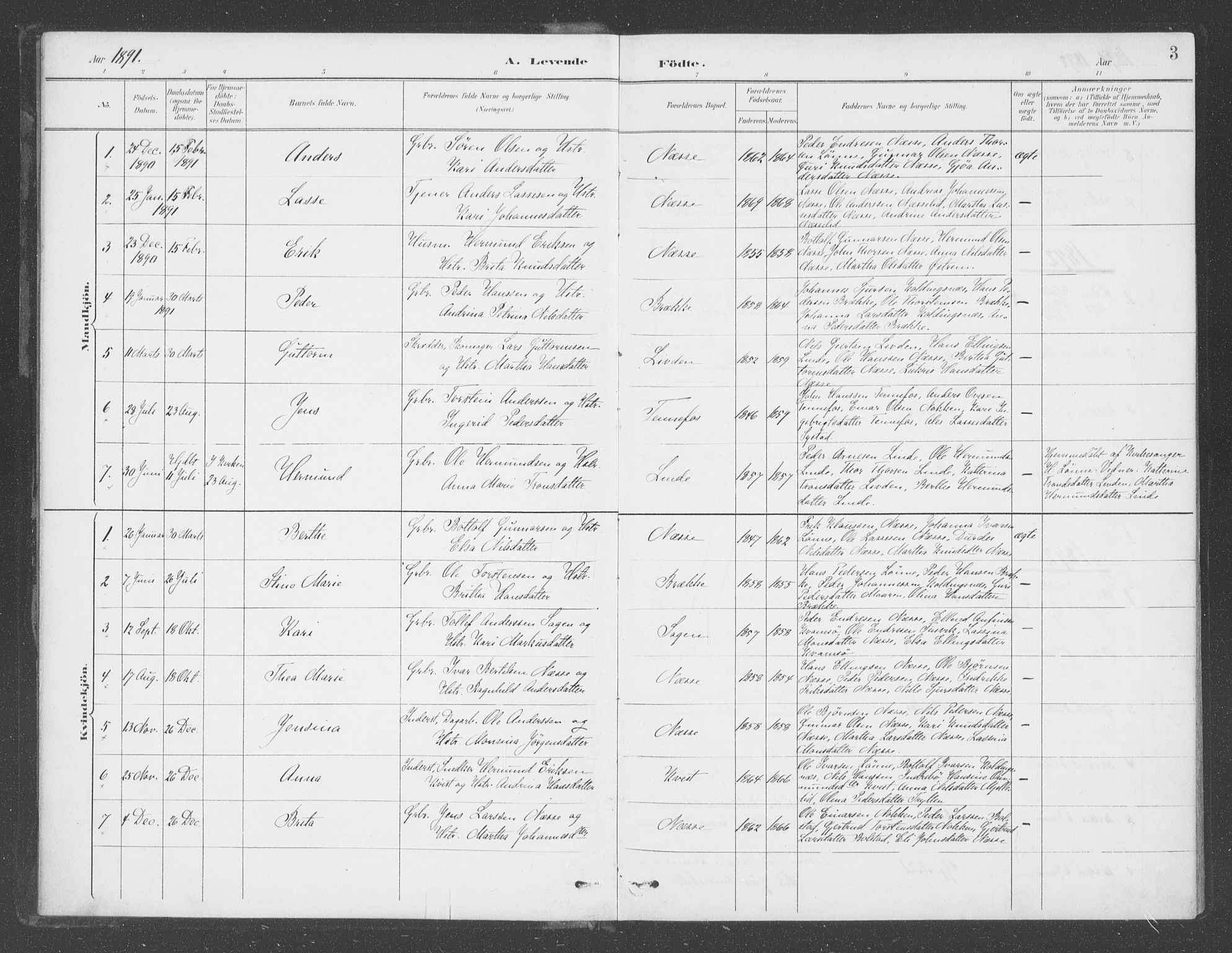 Vik sokneprestembete, AV/SAB-A-81501/H/Haa/Haad/L0002: Parish register (official) no. D  2, 1891-1907, p. 3