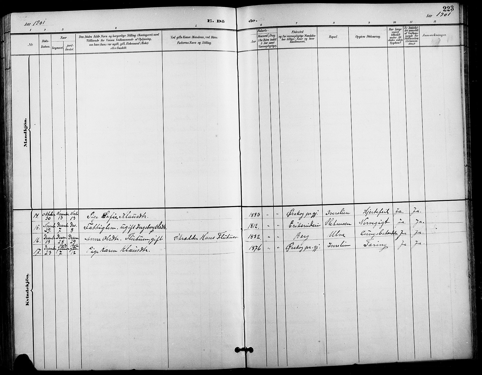 Vestre Gausdal prestekontor, SAH/PREST-094/H/Ha/Hab/L0003: Parish register (copy) no. 3, 1896-1925, p. 223