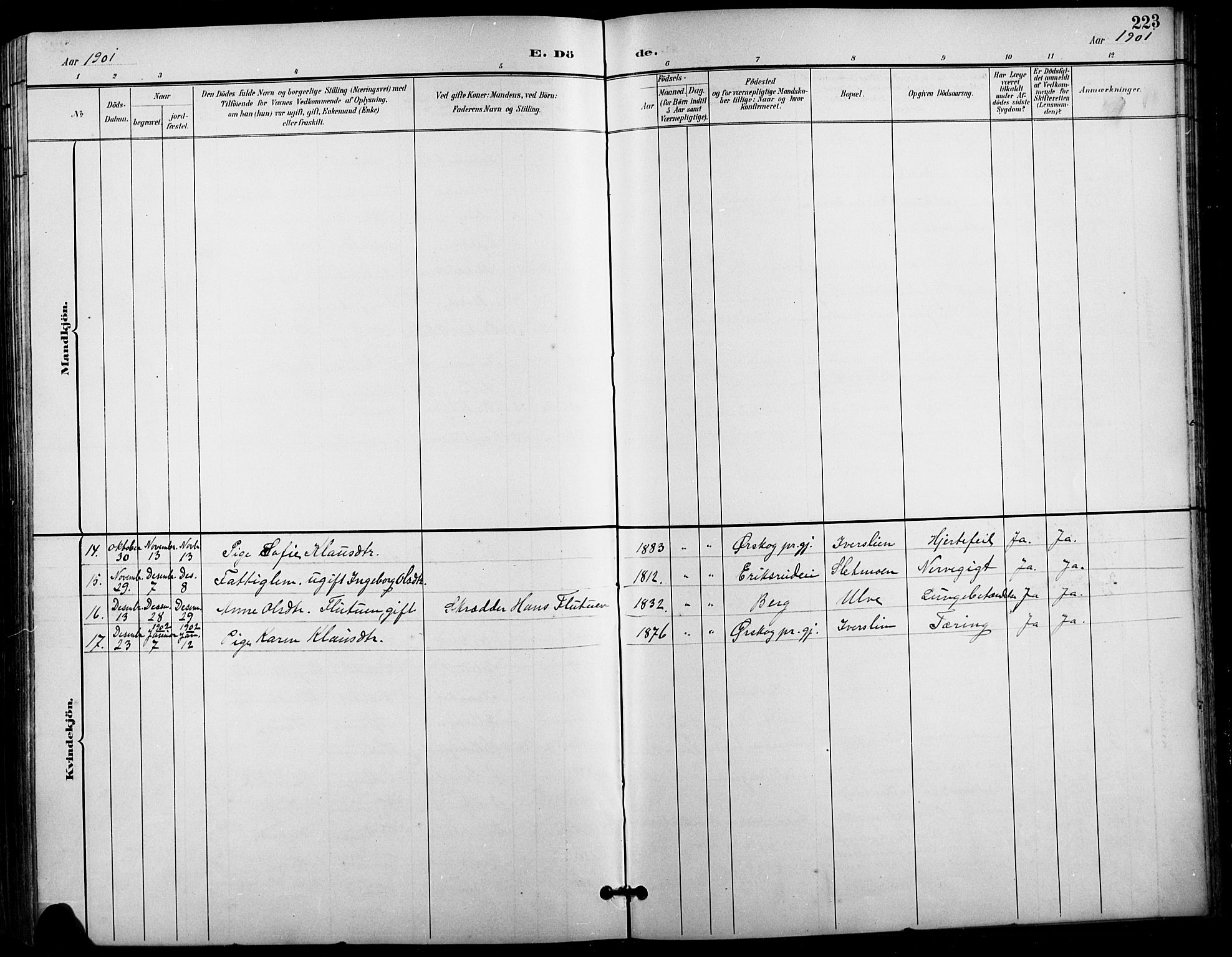 Vestre Gausdal prestekontor, AV/SAH-PREST-094/H/Ha/Hab/L0003: Parish register (copy) no. 3, 1896-1925, p. 223