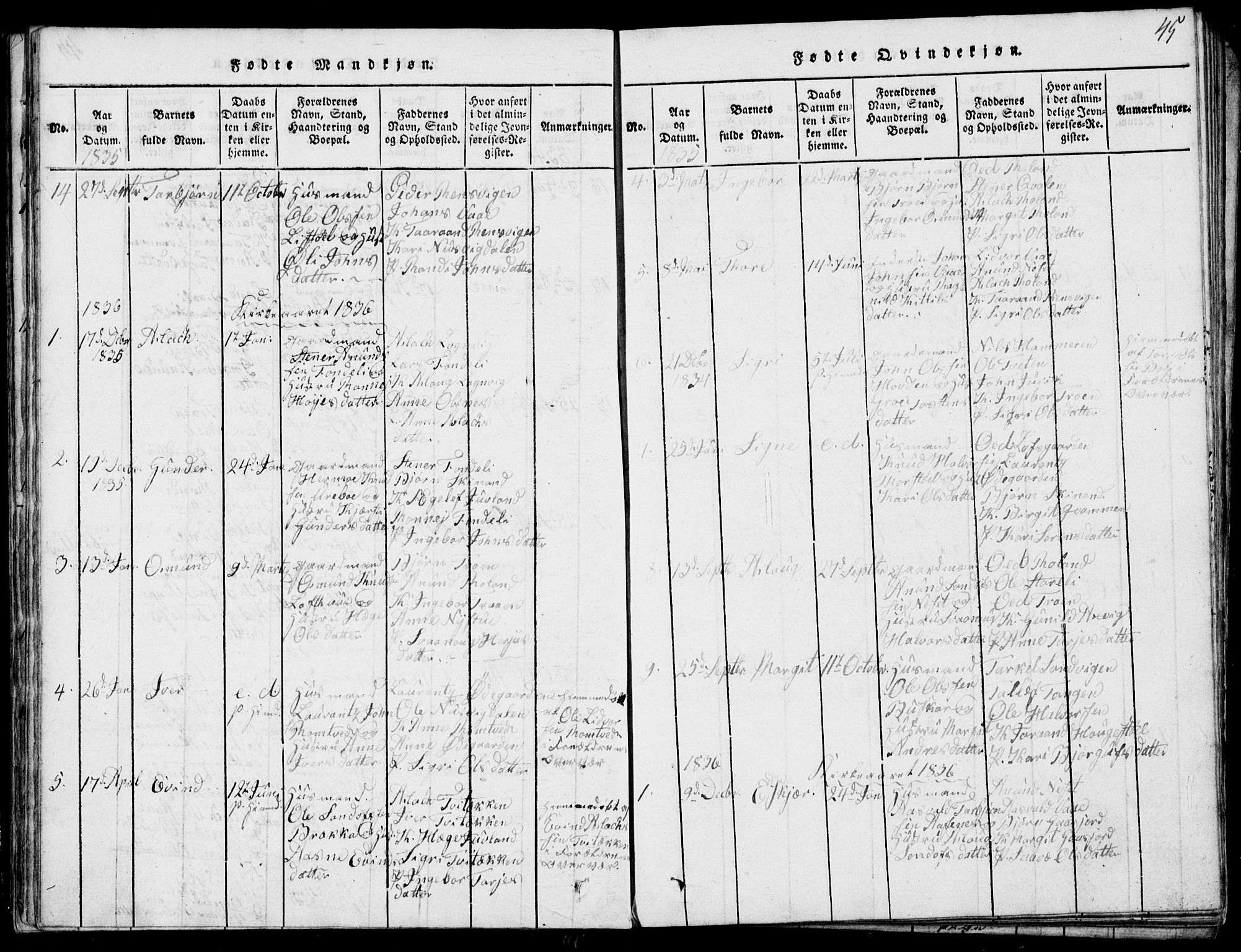 Rauland kirkebøker, SAKO/A-292/G/Ga/L0001: Parish register (copy) no. I 1, 1814-1843, p. 45