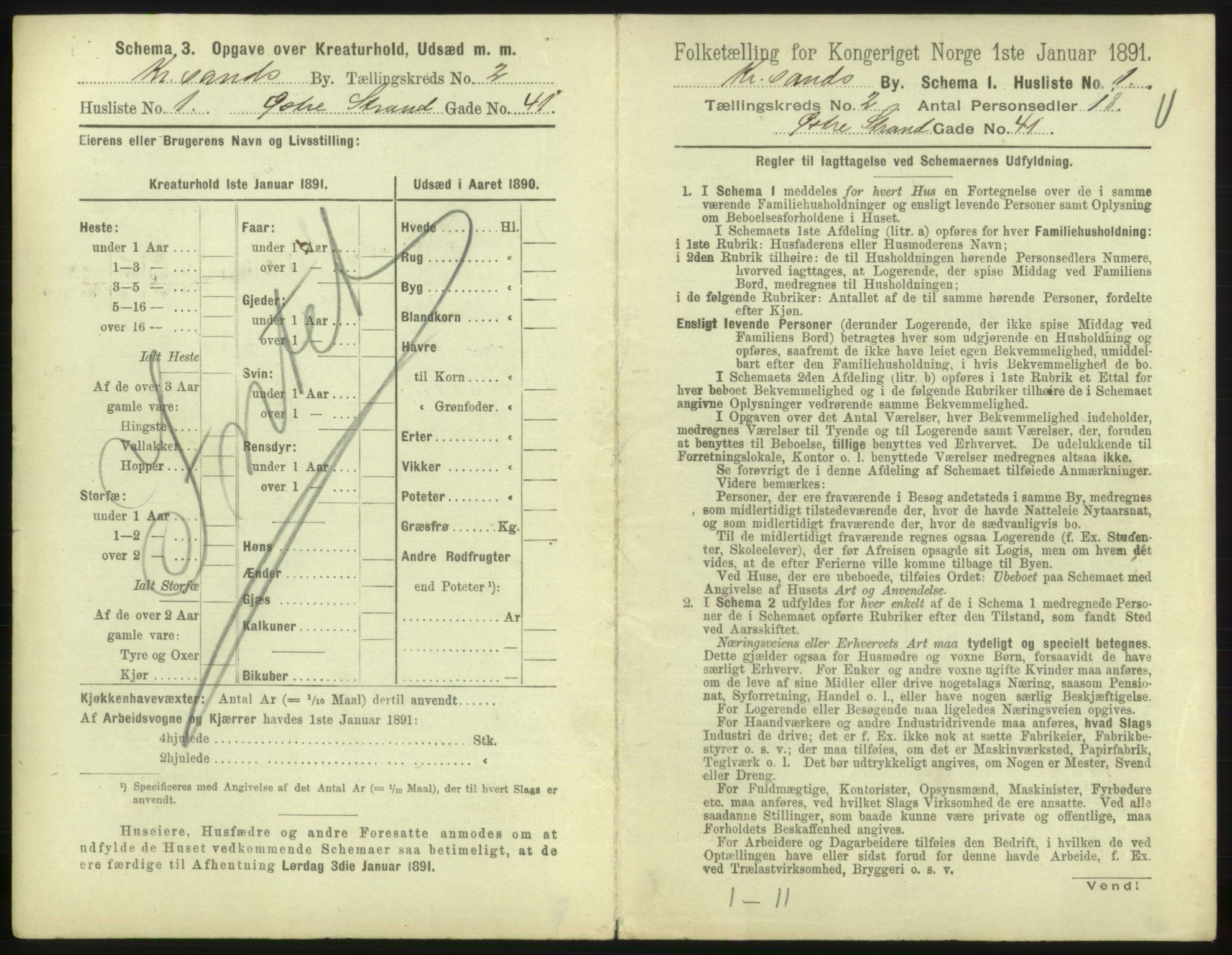RA, 1891 census for 1001 Kristiansand, 1891, p. 270