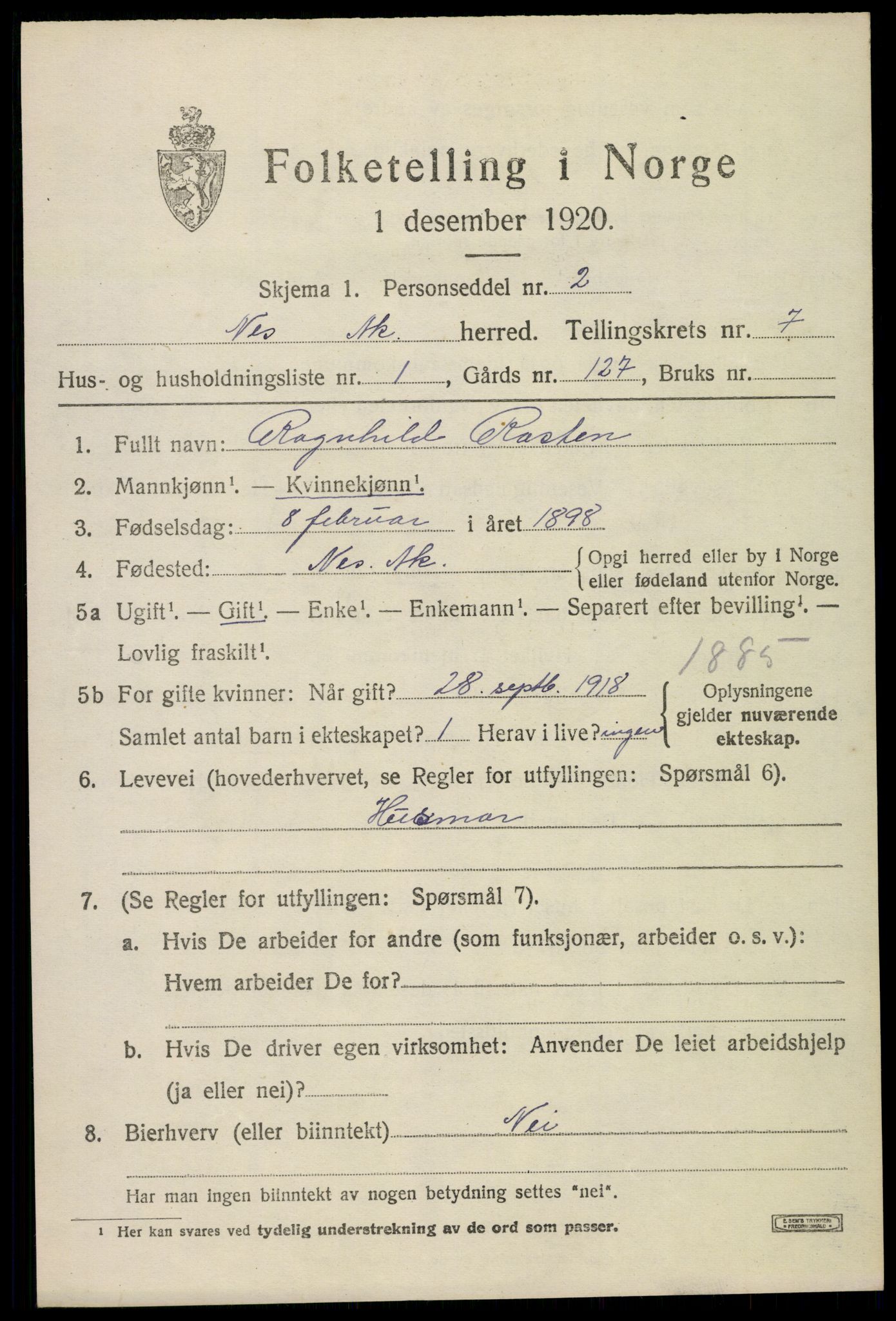 SAO, 1920 census for Nes, 1920, p. 8314