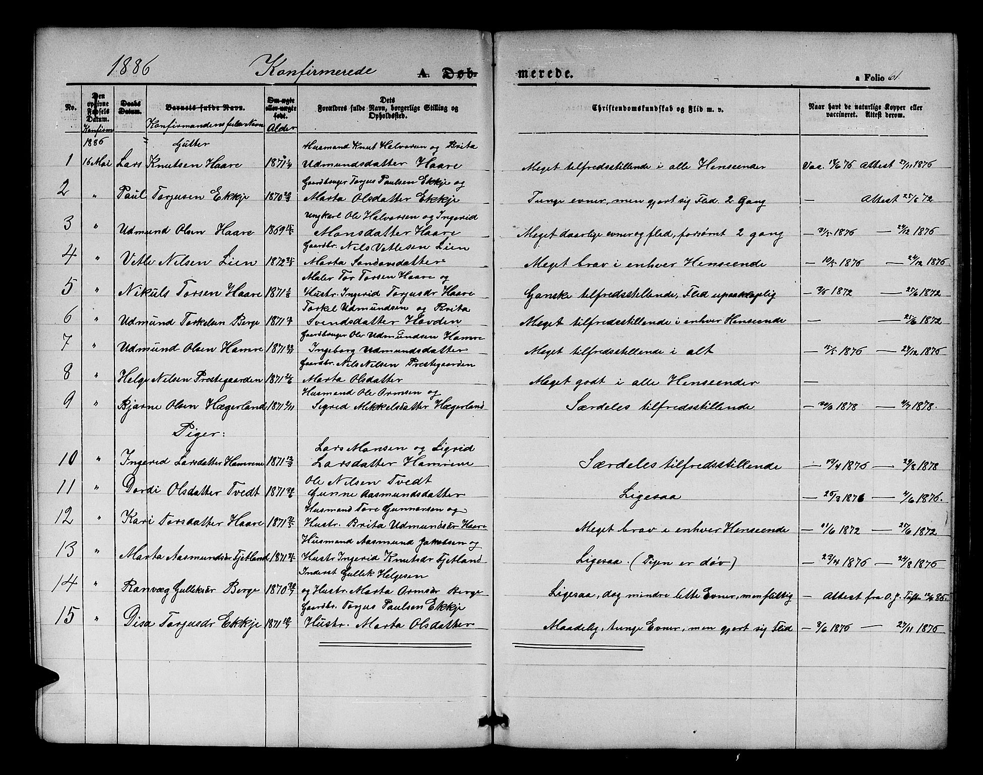 Røldal sokneprestembete, SAB/A-100247: Parish register (copy) no. A 2, 1861-1886, p. 61