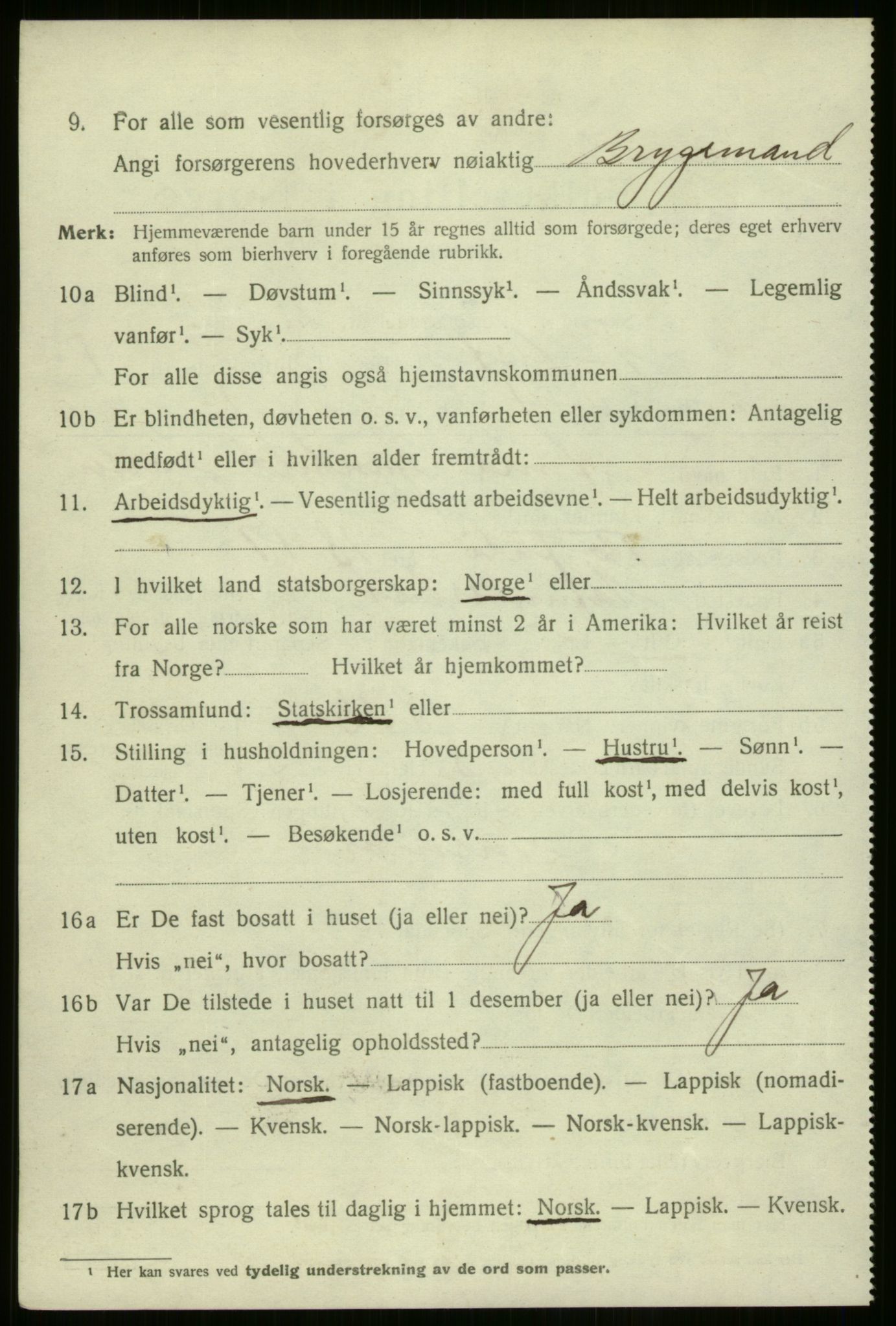 SATØ, 1920 census for Hammerfest, 1920, p. 3155