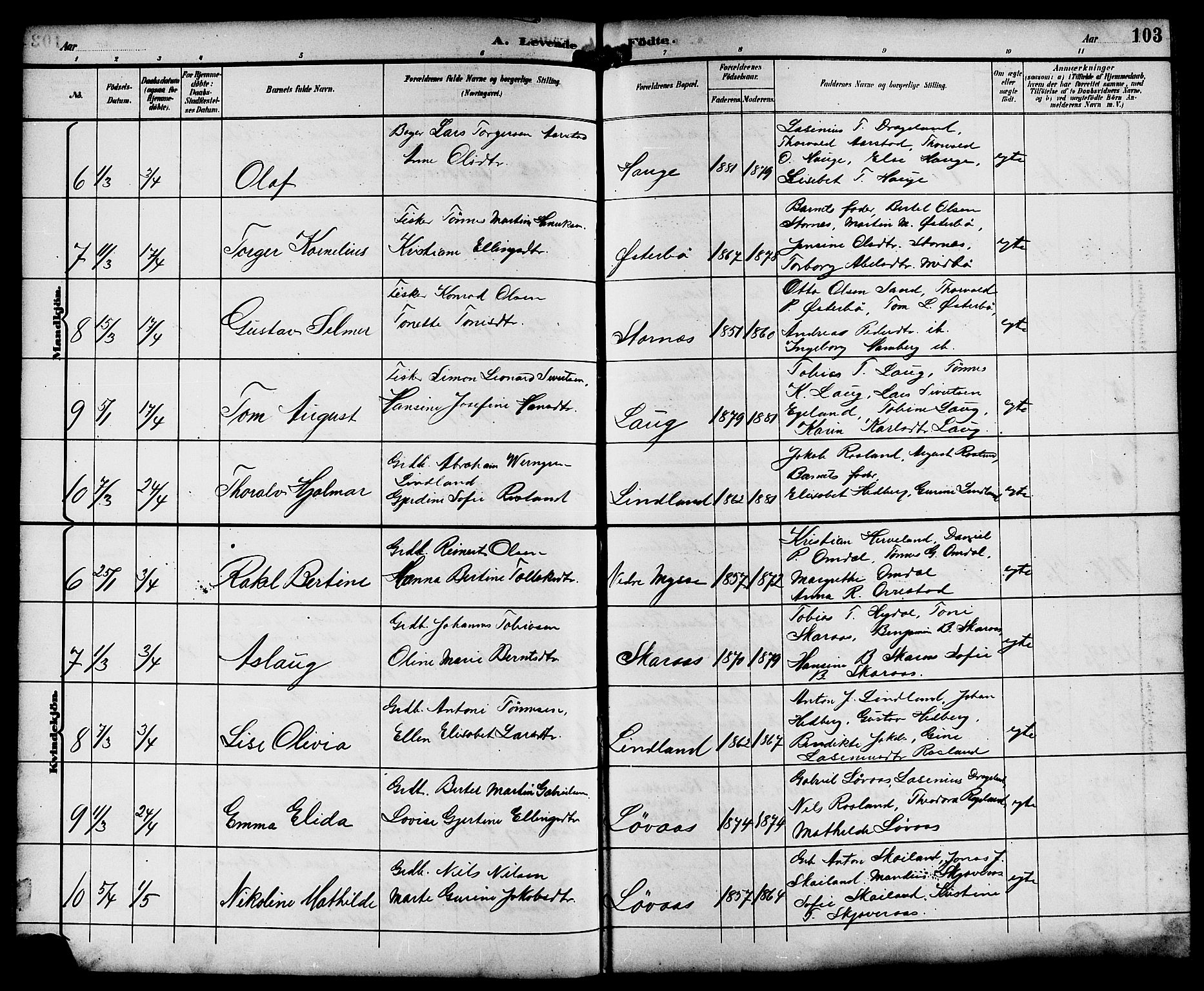 Sokndal sokneprestkontor, AV/SAST-A-101808: Parish register (copy) no. B 6, 1892-1907, p. 103