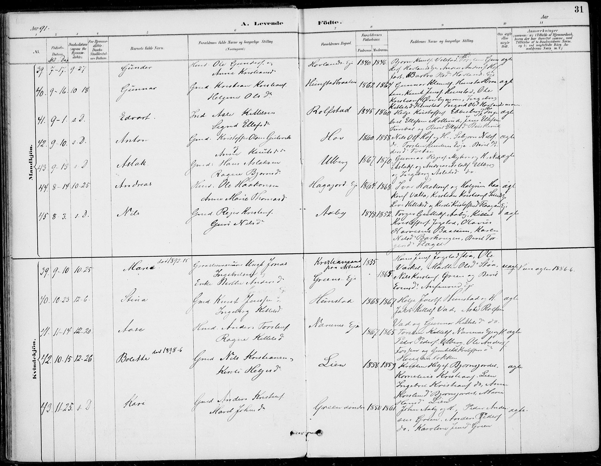 Sigdal kirkebøker, AV/SAKO-A-245/F/Fb/L0001: Parish register (official) no. II 1, 1888-1900, p. 31