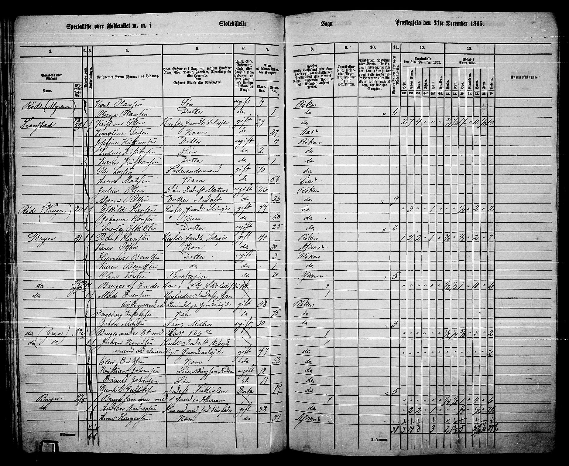 RA, 1865 census for Røyken, 1865, p. 70