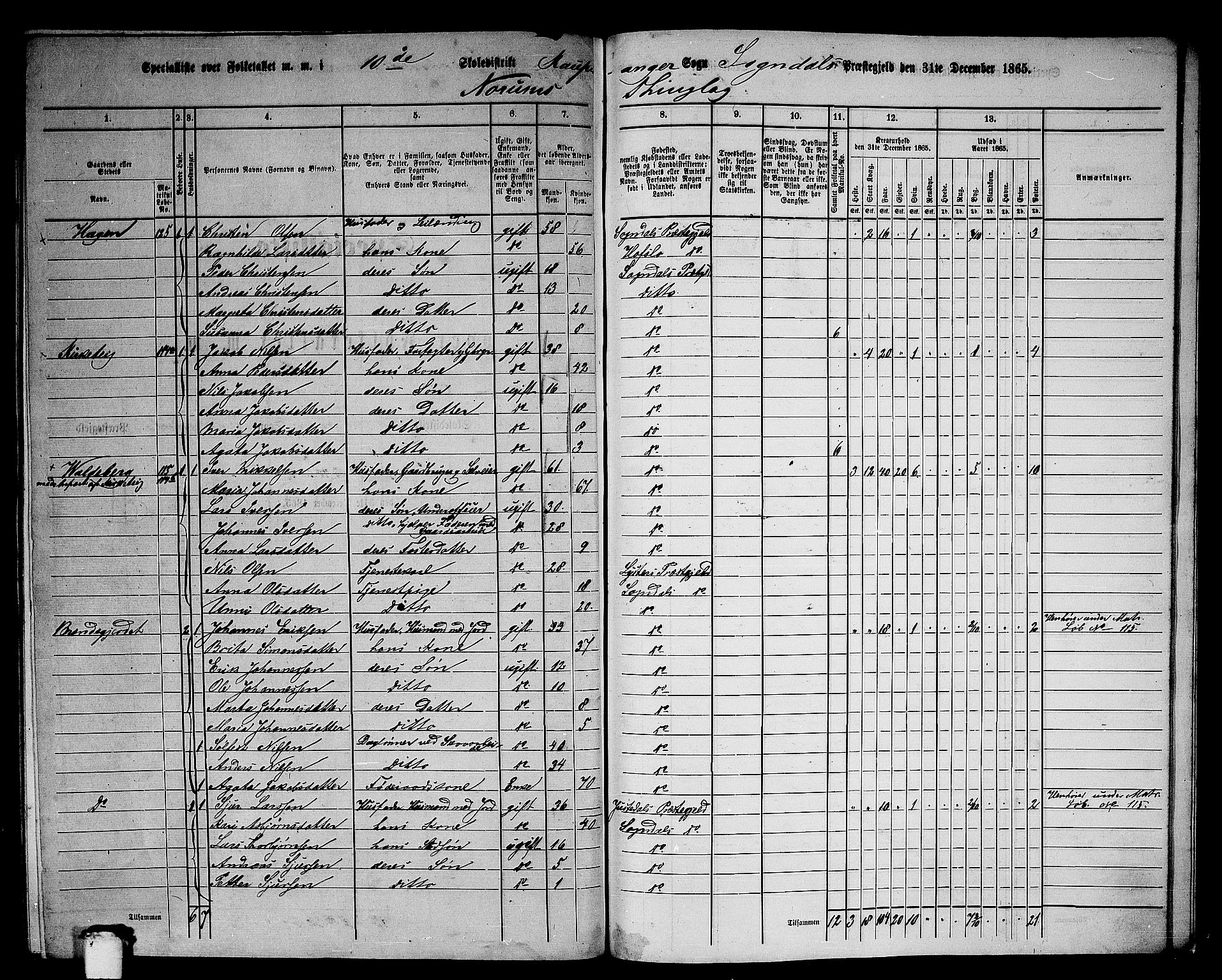 RA, 1865 census for Sogndal, 1865, p. 162